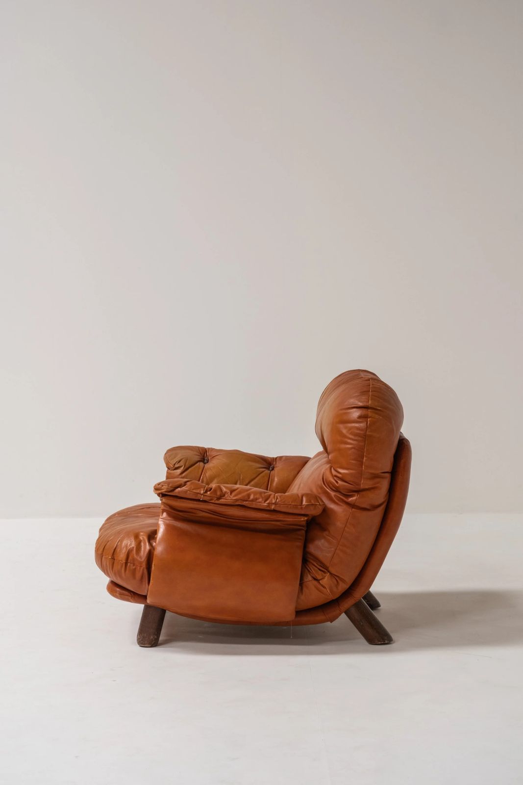 Lounge Chair By E. Cobianchi For Insa Italy 1970 photo Furniture