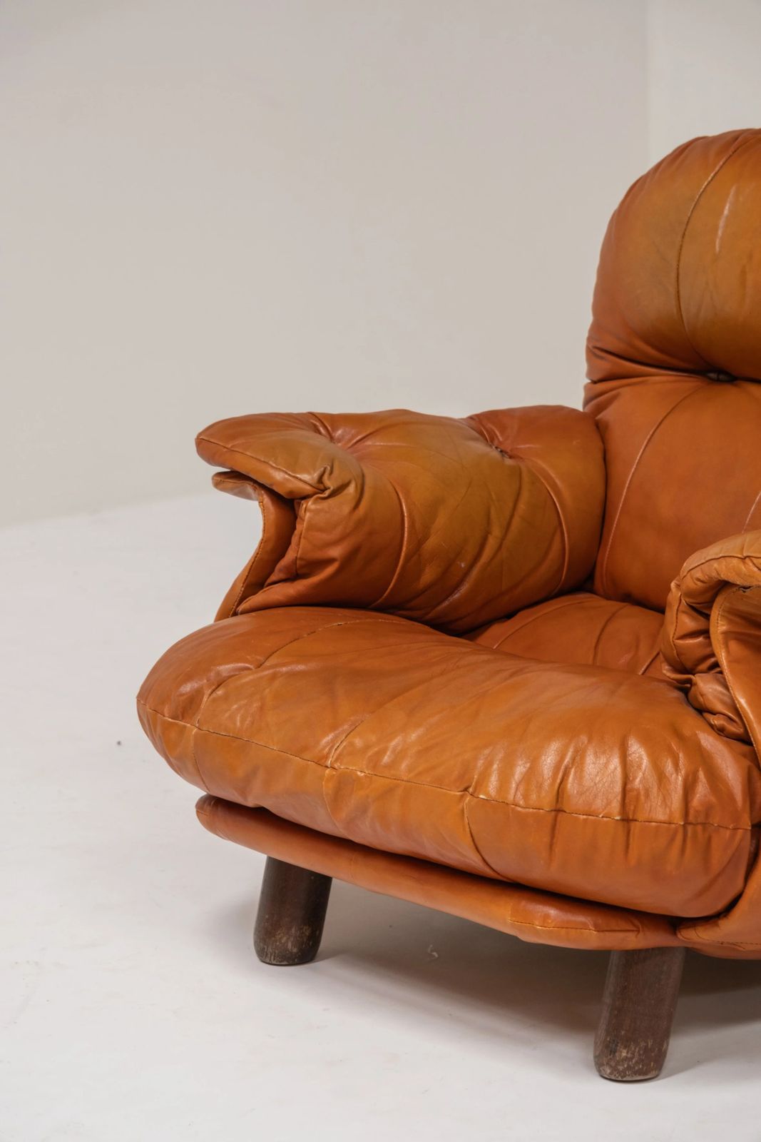 Lounge Chair By E. Cobianchi For Insa Italy 1970 photo 3134.0