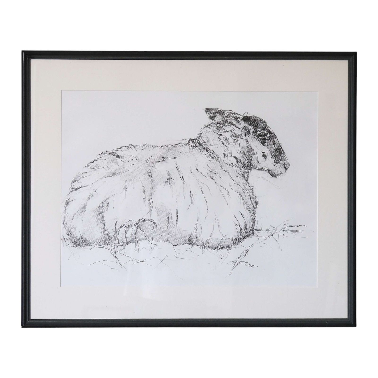Tisbury Sheep   Original Contemporary Pencil Sketch By Sally Newton, Framed Artwork