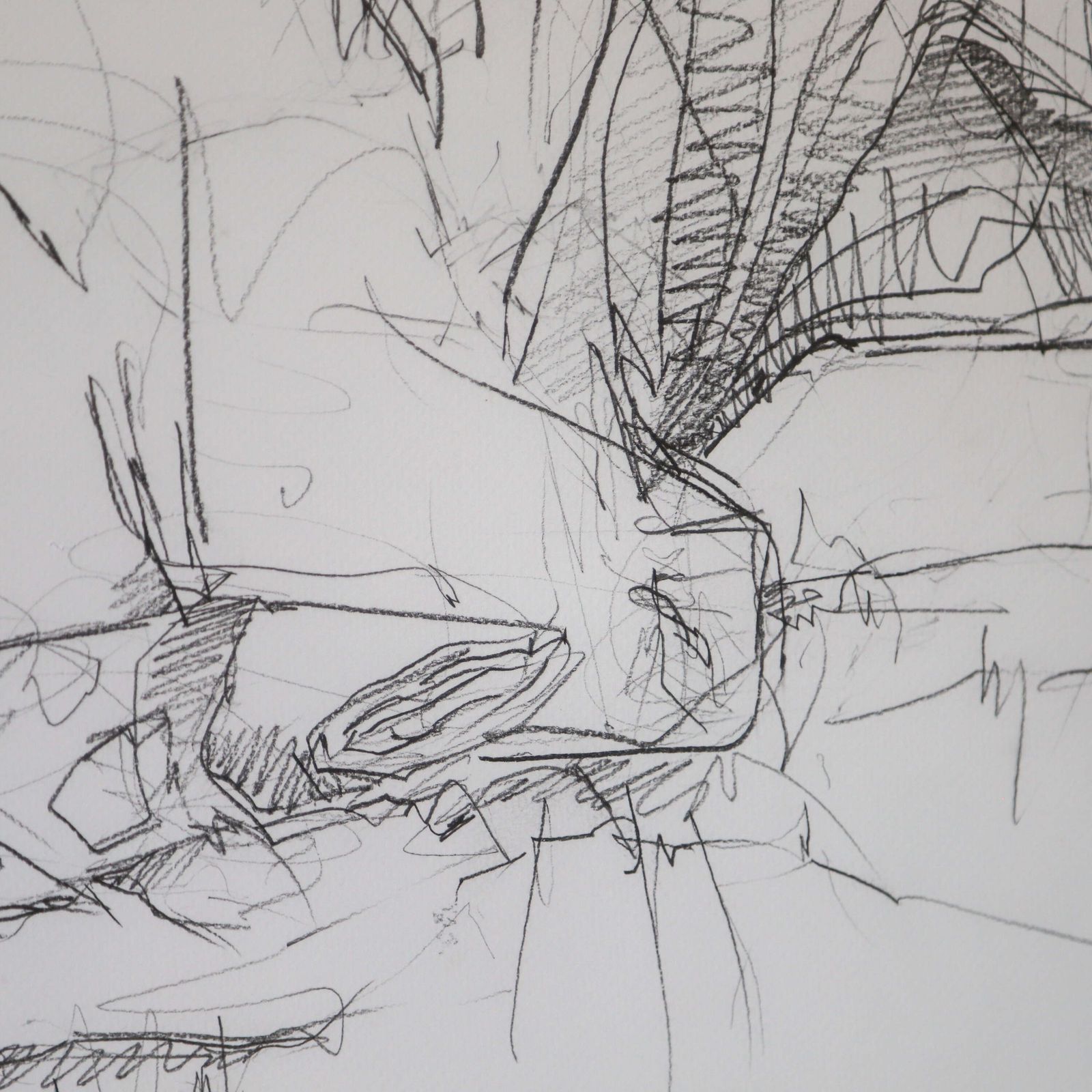 Toro – Original Contemporary Pencil Sketch By Sally Newton, Framed Artwork photo buy