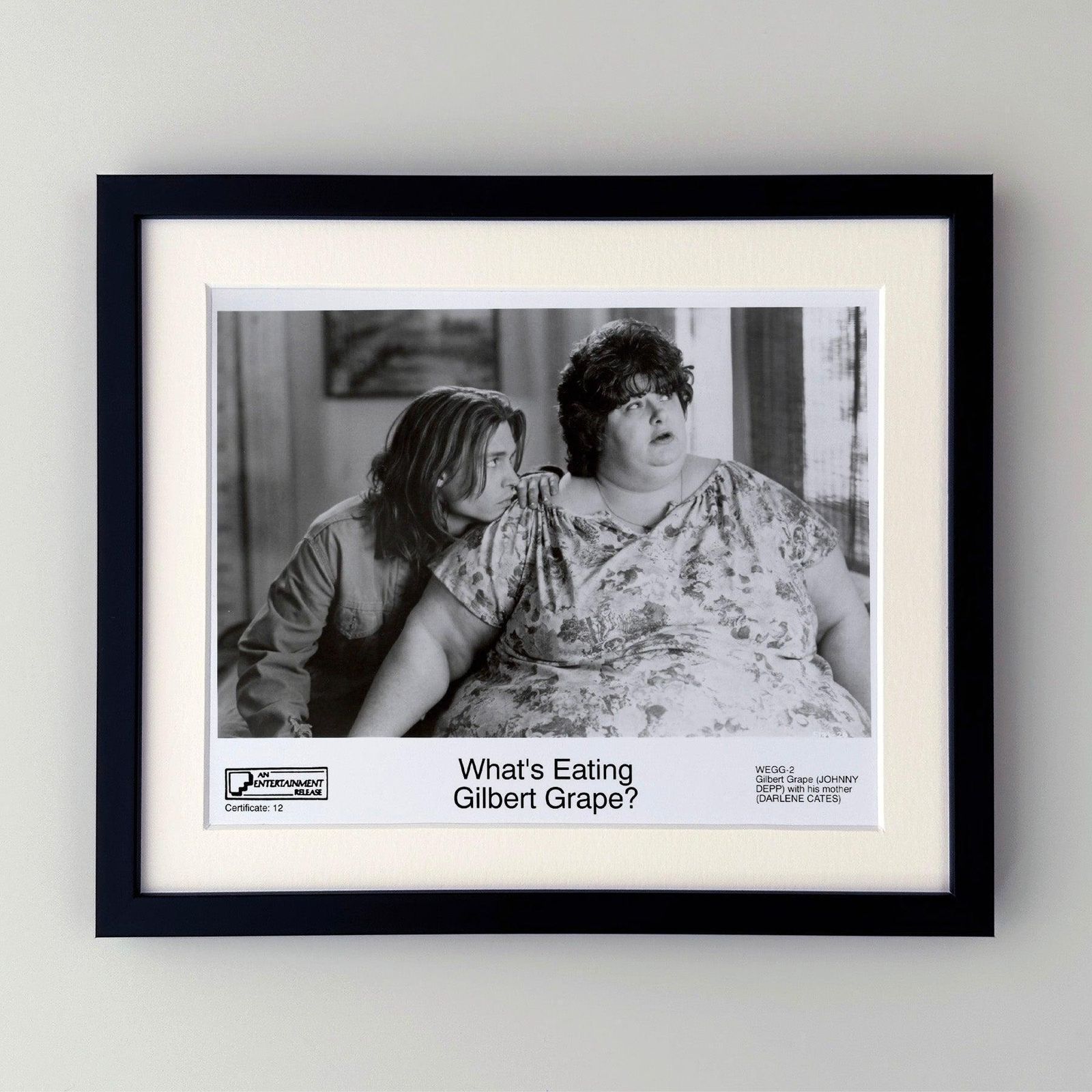 What's Eating Gilbert Grape 1993 Publicity Film Movie Press Still Framed photo furniture