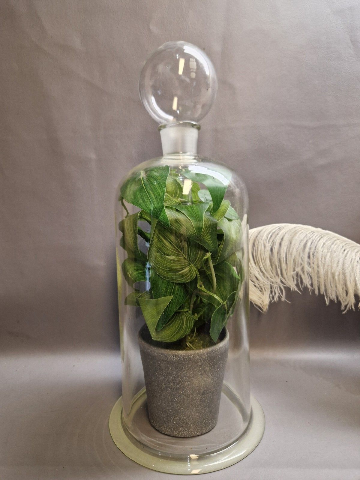 Vintage Pyrex Large Cloche And Stopper Plant Greenhouse Display Heavy Glass photo for sale