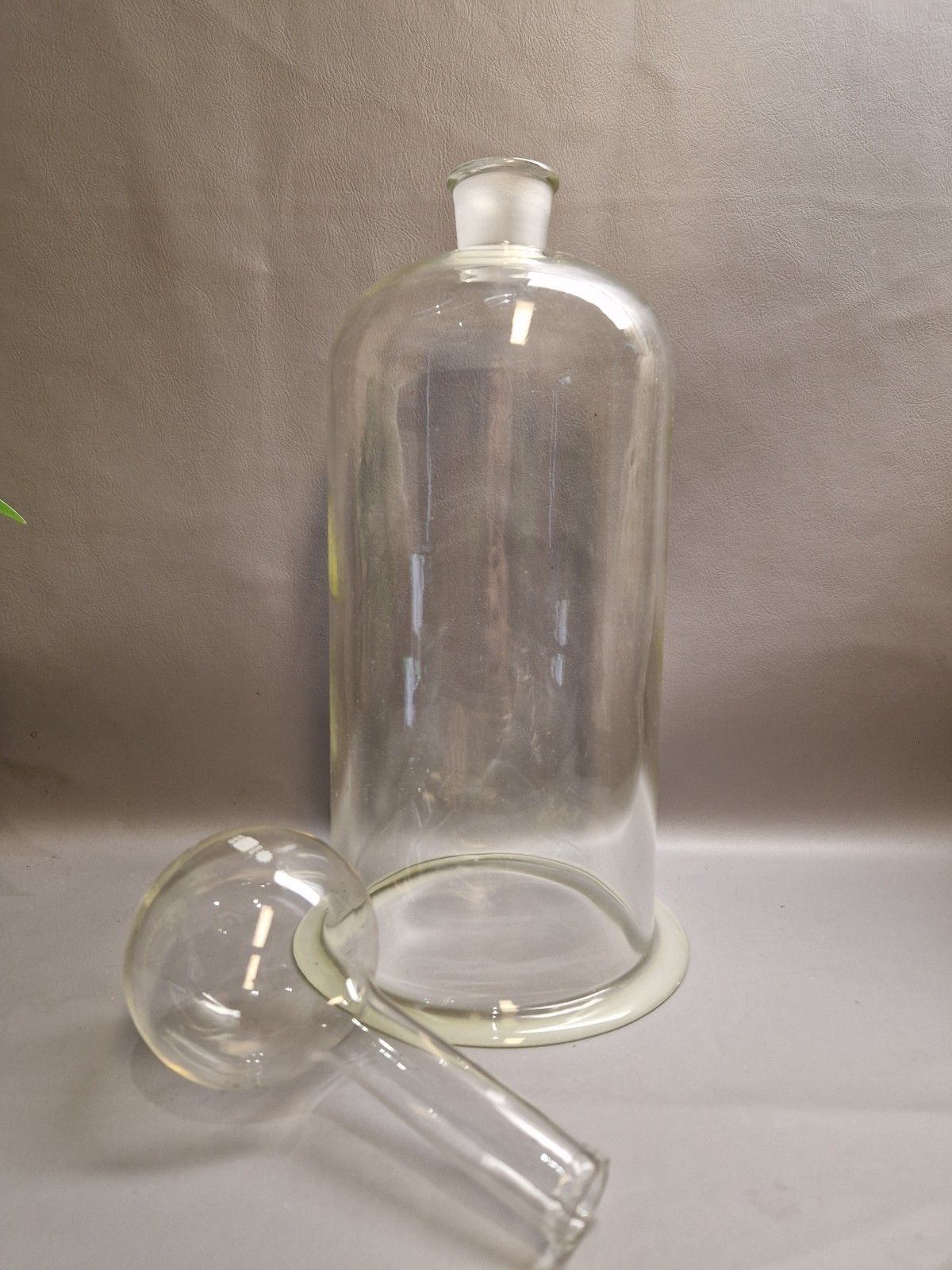 photo furniture Vintage Pyrex Large Cloche And Stopper Plant Greenhouse Display Heavy Glass
