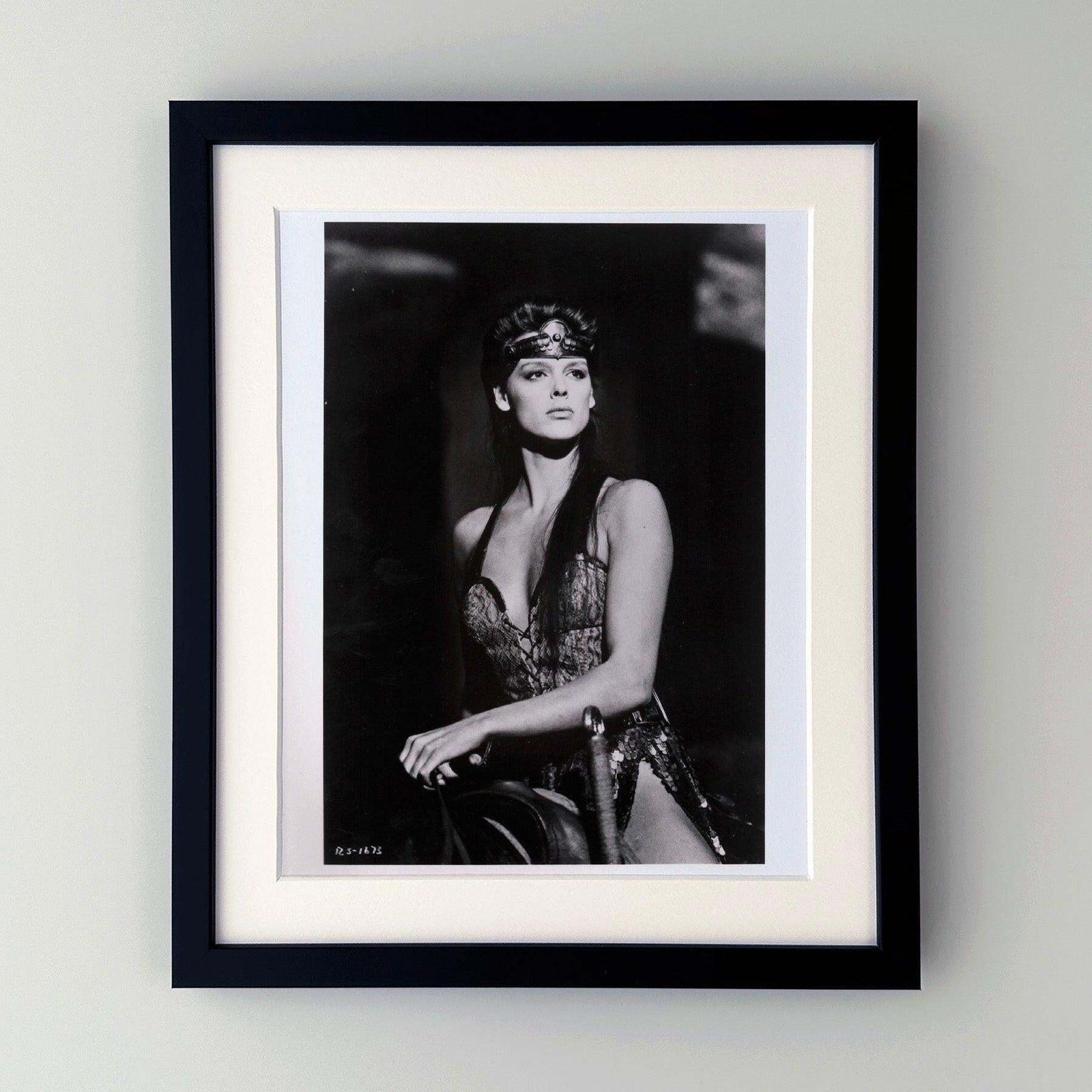 Red Sonja 1985 Publicity Film Movie Press Still Framed photo furniture