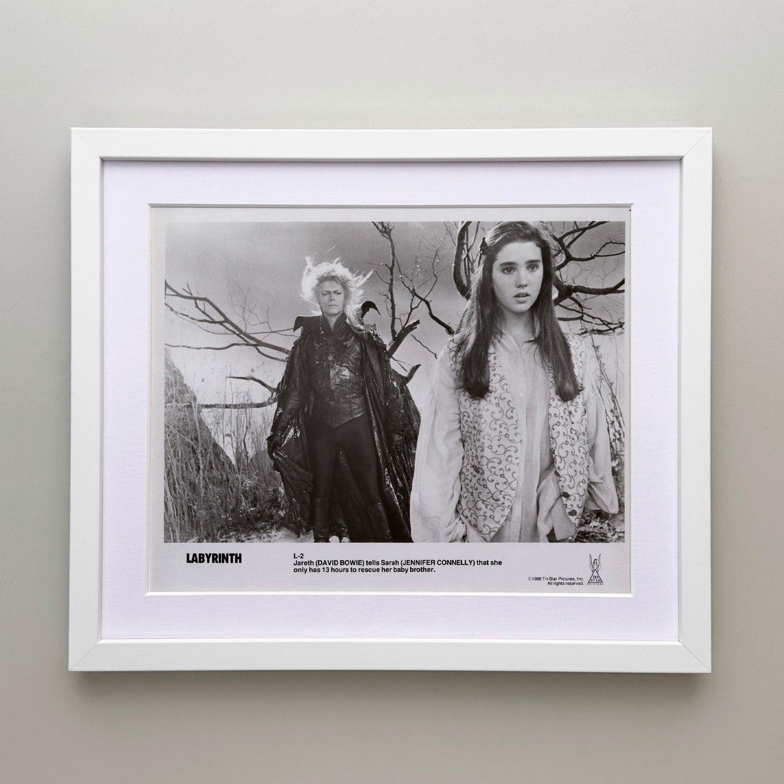 Labyrinth 1986 Publicity Film Movie Press Still Framed photo for sale