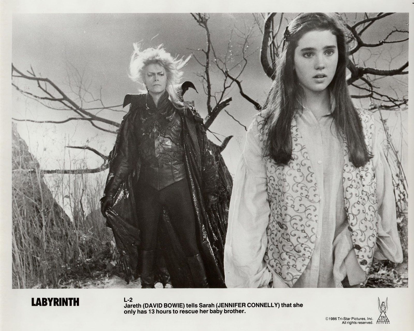 Labyrinth 1986 Publicity Film Movie Press Still Framed photo vinterior