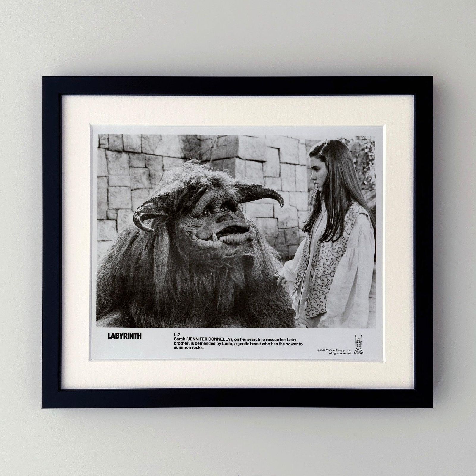 Labyrinth 1986 Publicity Film Movie Press Still Framed photo furniture