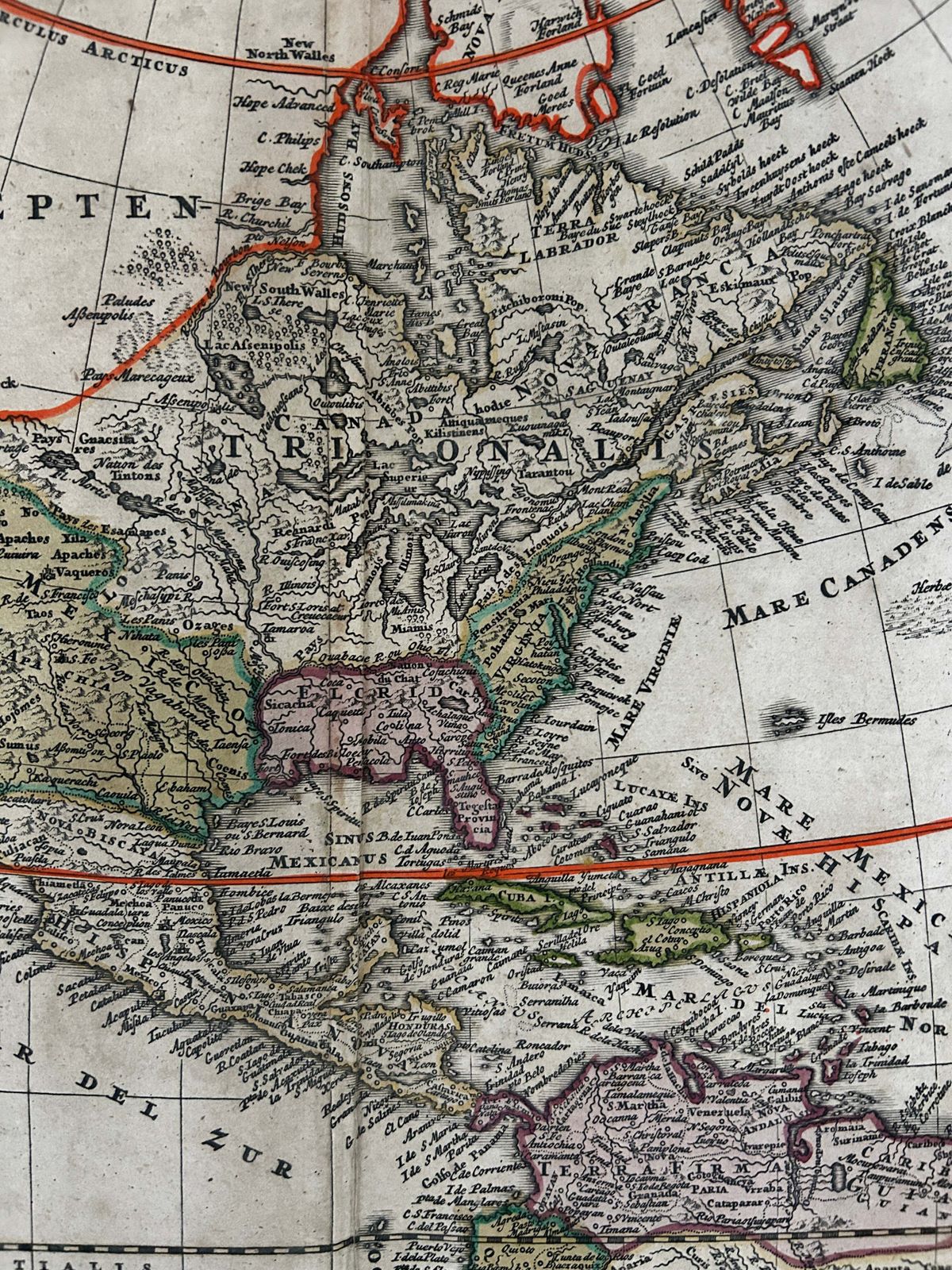 1716 Homann Map Of America   Hand Coloured photo Art