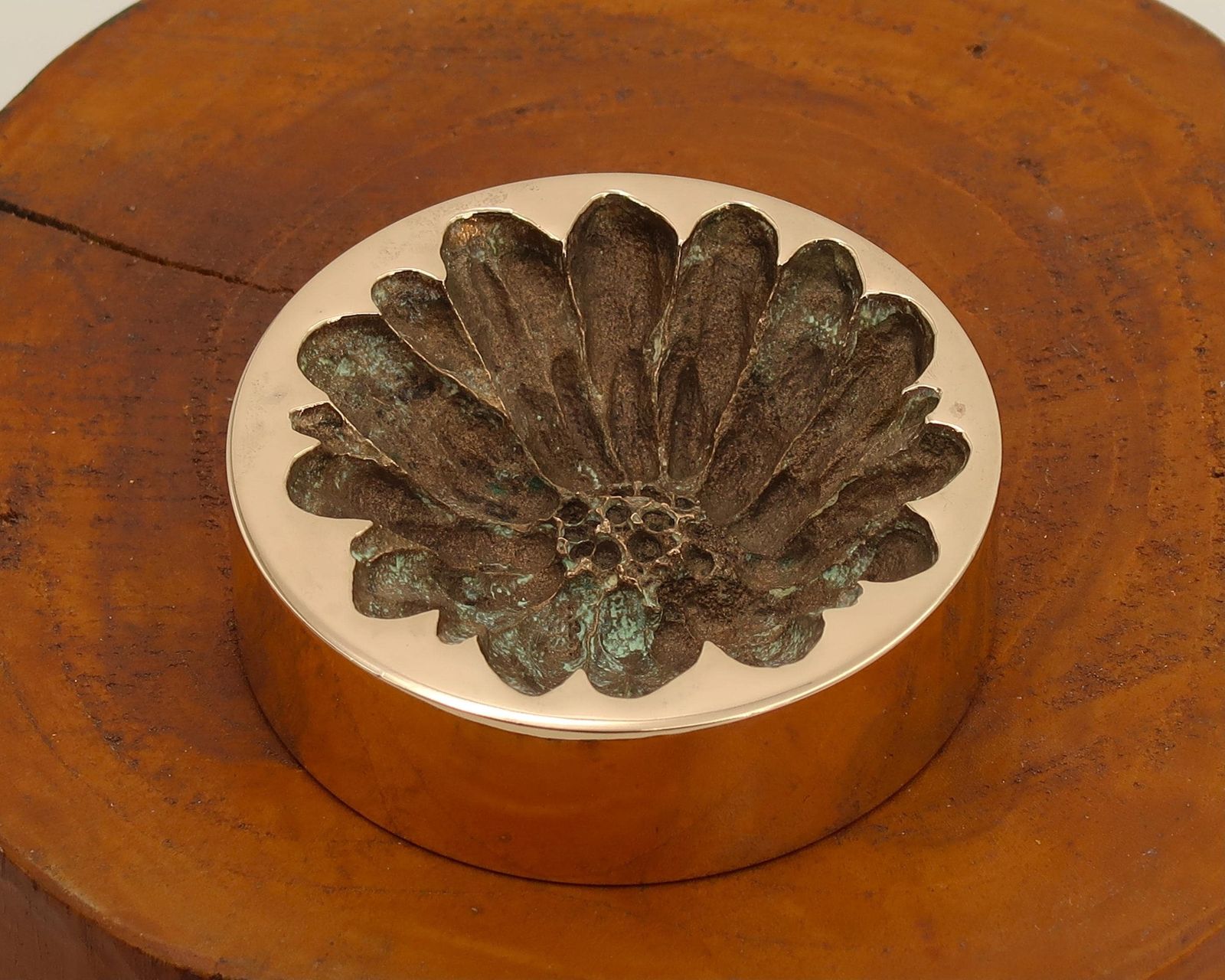 French Bronze Paperweight Sculpture By Monique Gerber, 1970s / Herbarium, Art, Flower, Home Decor photo for sale