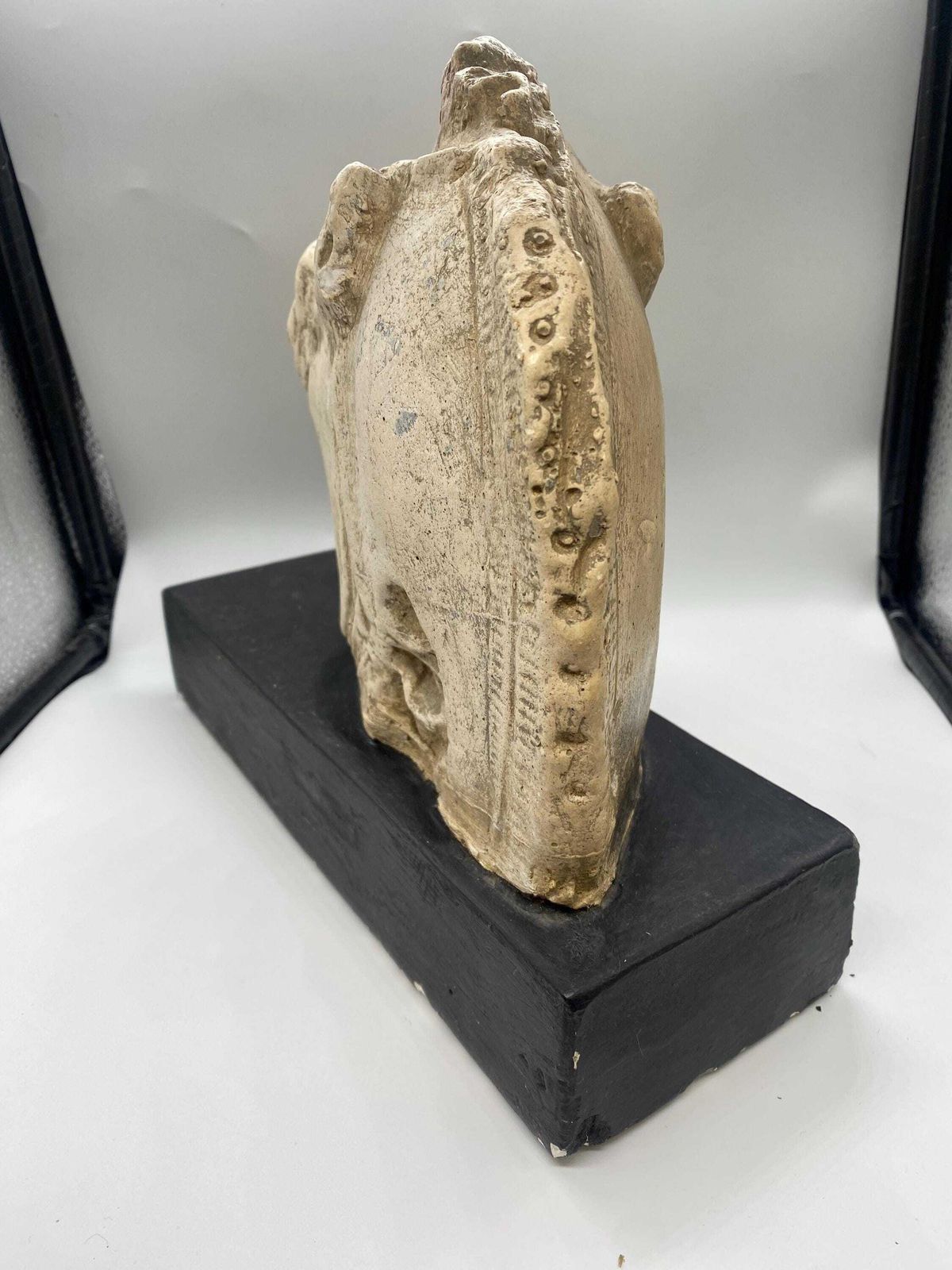 Vintage Museum Quality Reproduction Of The Horse Of Selene, From The Elgin Marbles photo vinterior