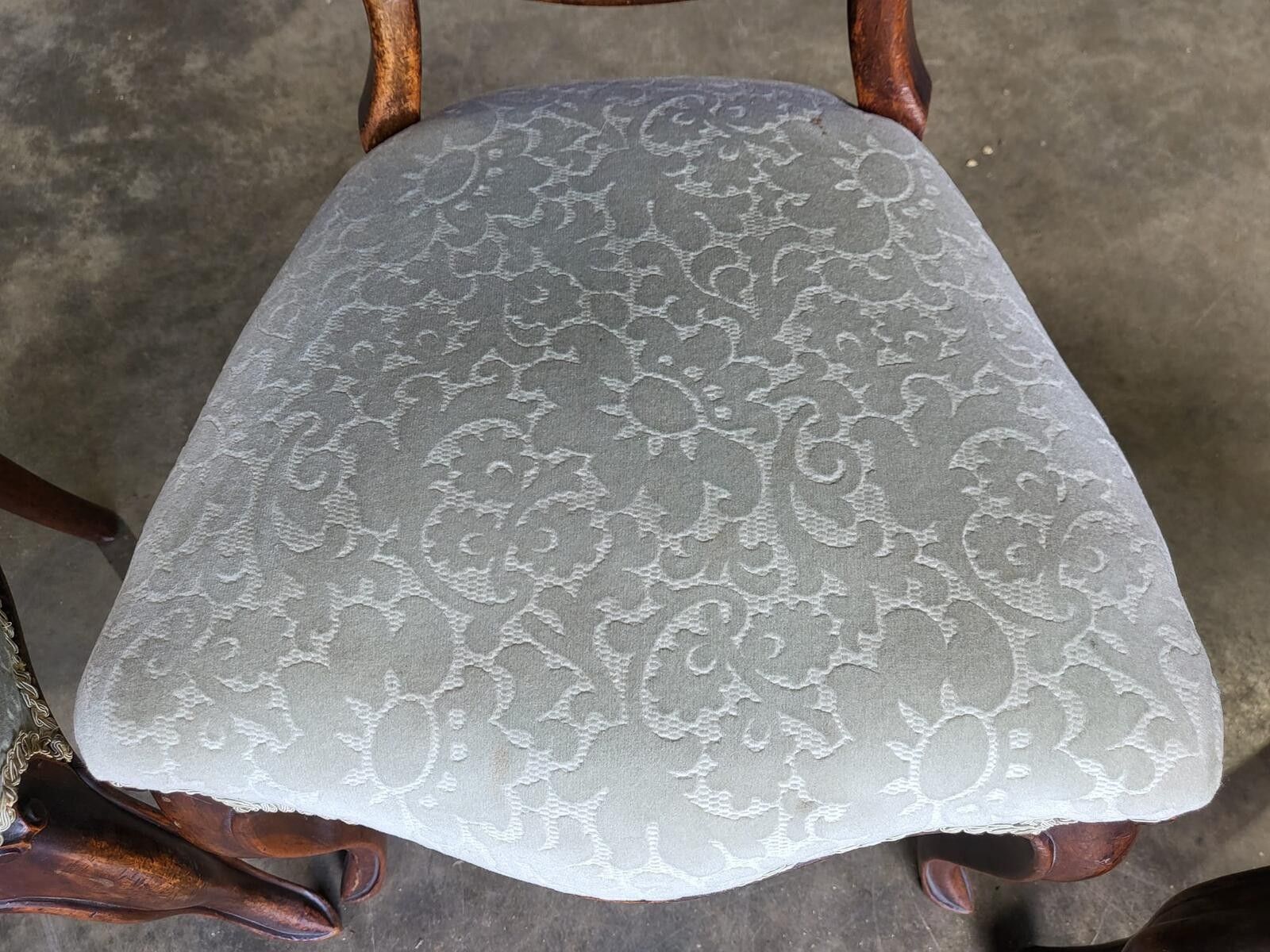 photo vinterior Six Mix Antique Edwardian Balloon Back Dining Chairs Cabriole Legs