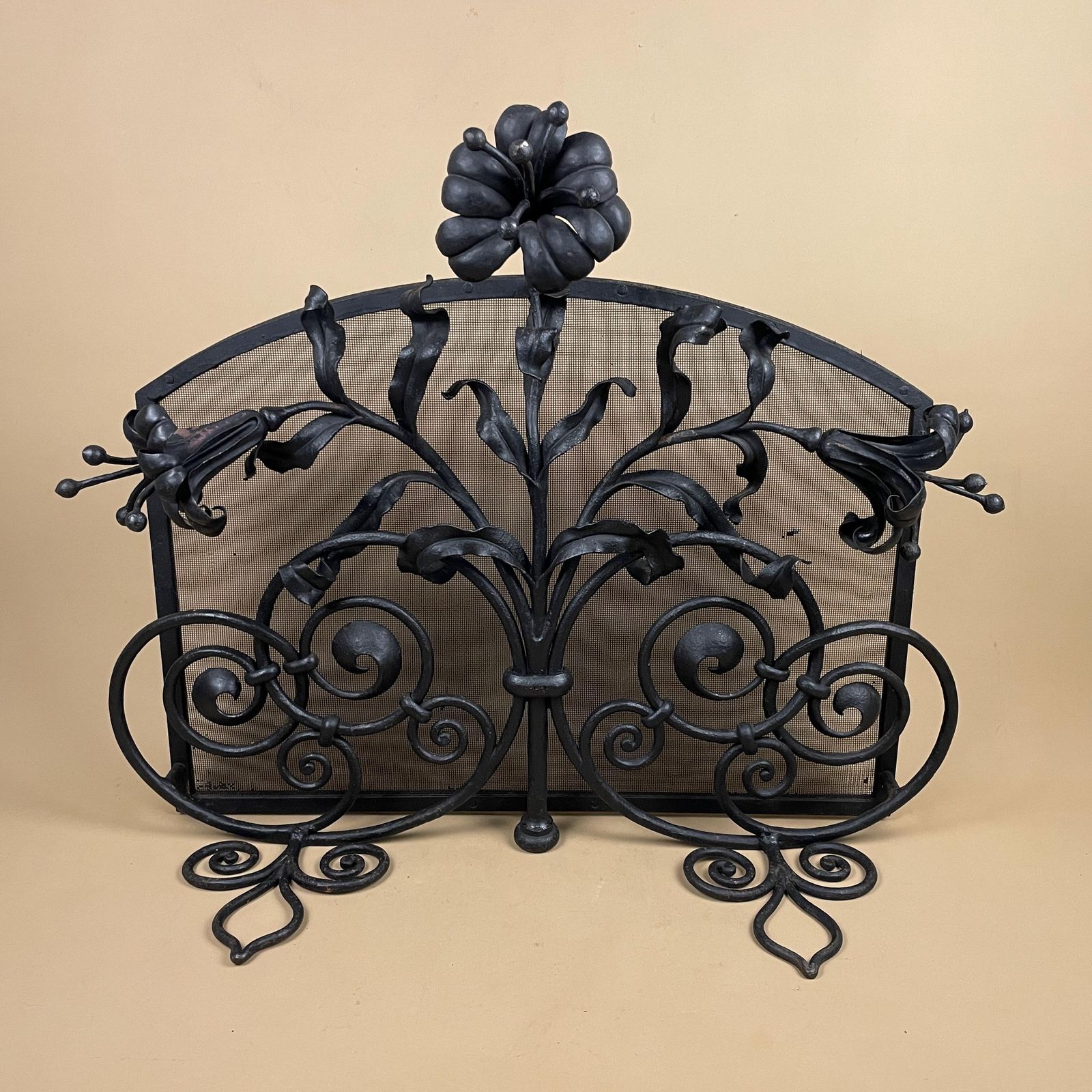 Art Deco French Fireguard Fireplace Screen Metal Cast Iron Black Fer Forge Fire Guard Floral Freestanding Patterned Rectangle Mesh Wrought