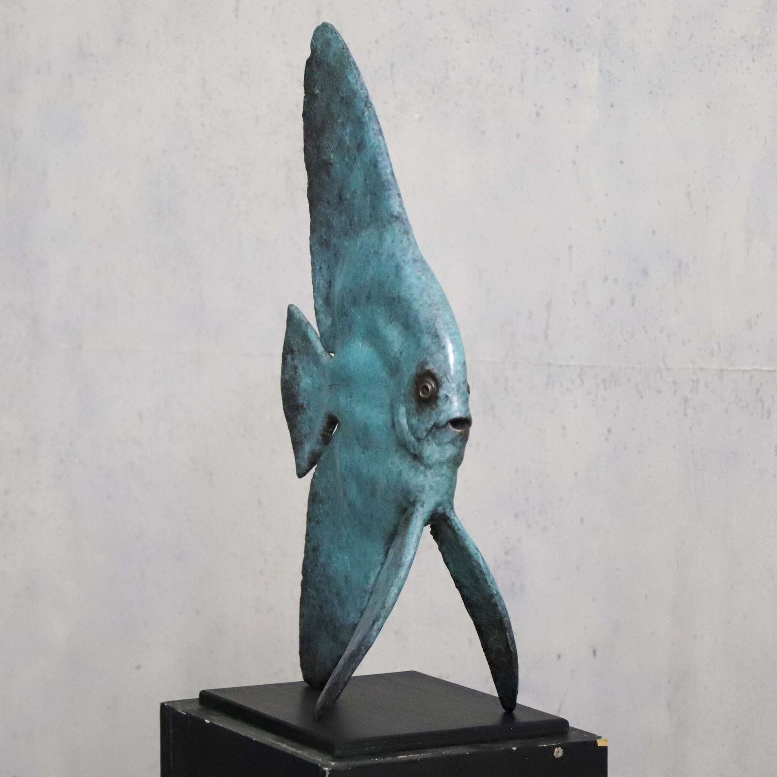 photo furniture Young Longfin Batfish   Fine Art Bronze By Andrzej Szymczyk, Limited Edition 2/12