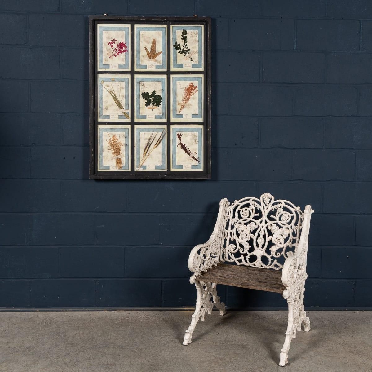 20th Century Italian Large Oak Frame Containing Pressed Flowers & Herbs photo for sale