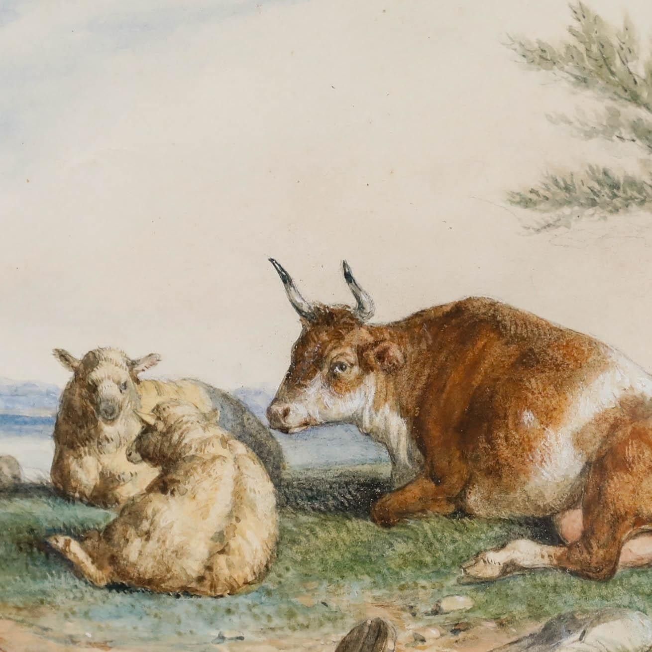 Framed 19th Century Watercolour Bull And Ewes By The Lake photo Art