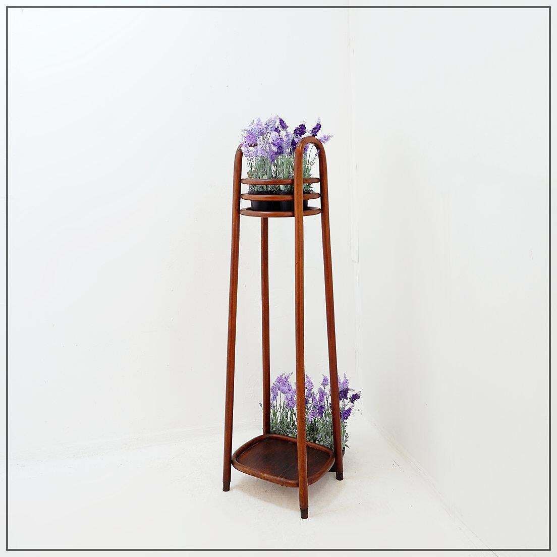 Bentwood Pedestal   Flower Stand Attributed To Jacob & Josef Kohn, 1890s photo furniture