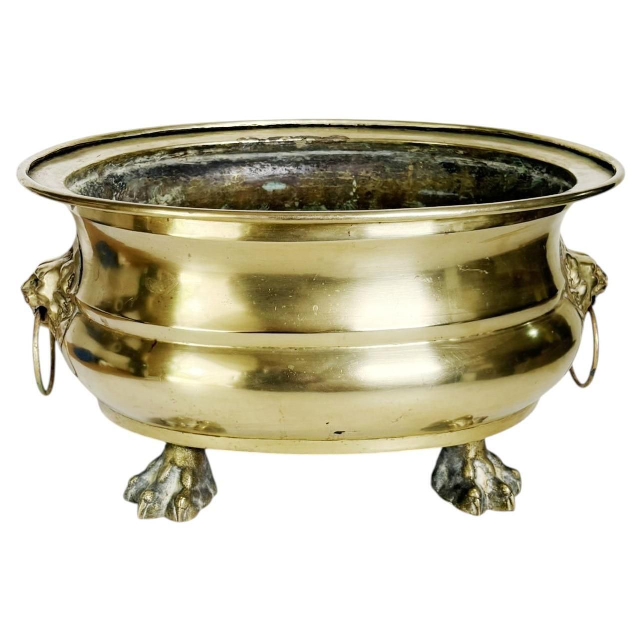 Champagne Cooler Plant Stand, Brass, France, 1950 photo furniture