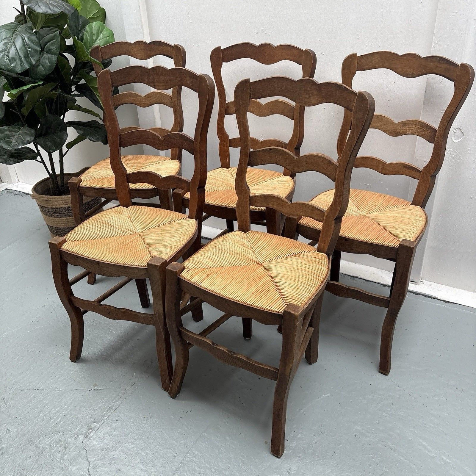 5 Vintage French Farmhouse Country ´Van Gogh’ Ladderback Rush Seat Dining Chairs photo furniture
