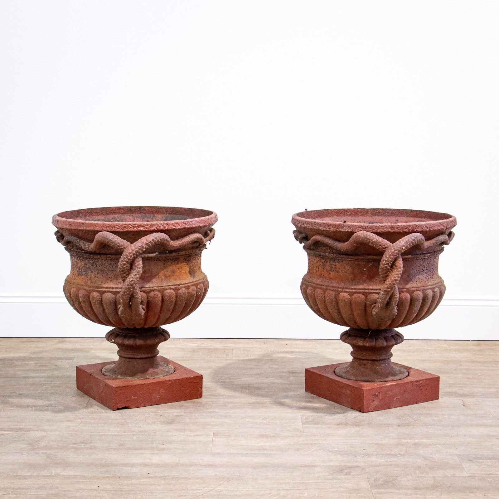 Pair Of Cast Iron French 19th Century Snake Handled Urns photo 2200.0