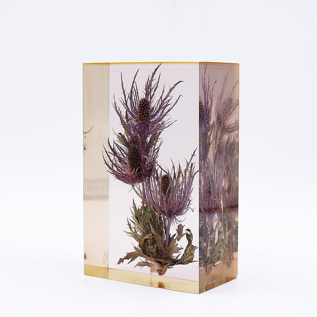 "Panicaut Des Alpes" French Resin Paperweight By Pierre Bodin   1980s photo furniture