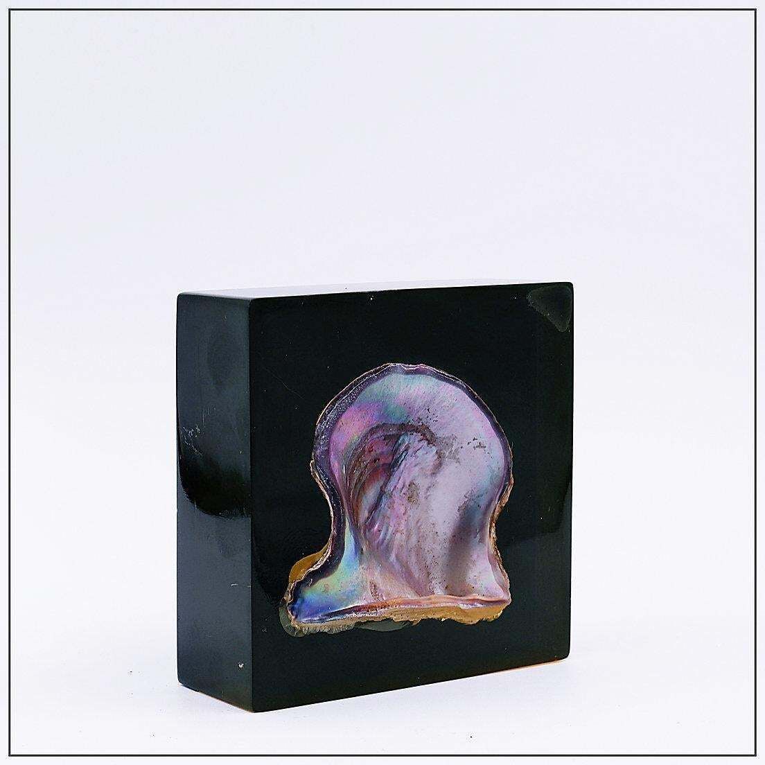 Pierre Giraudon Inclusion Of Pearl Oyster Shell   20th photo for sale