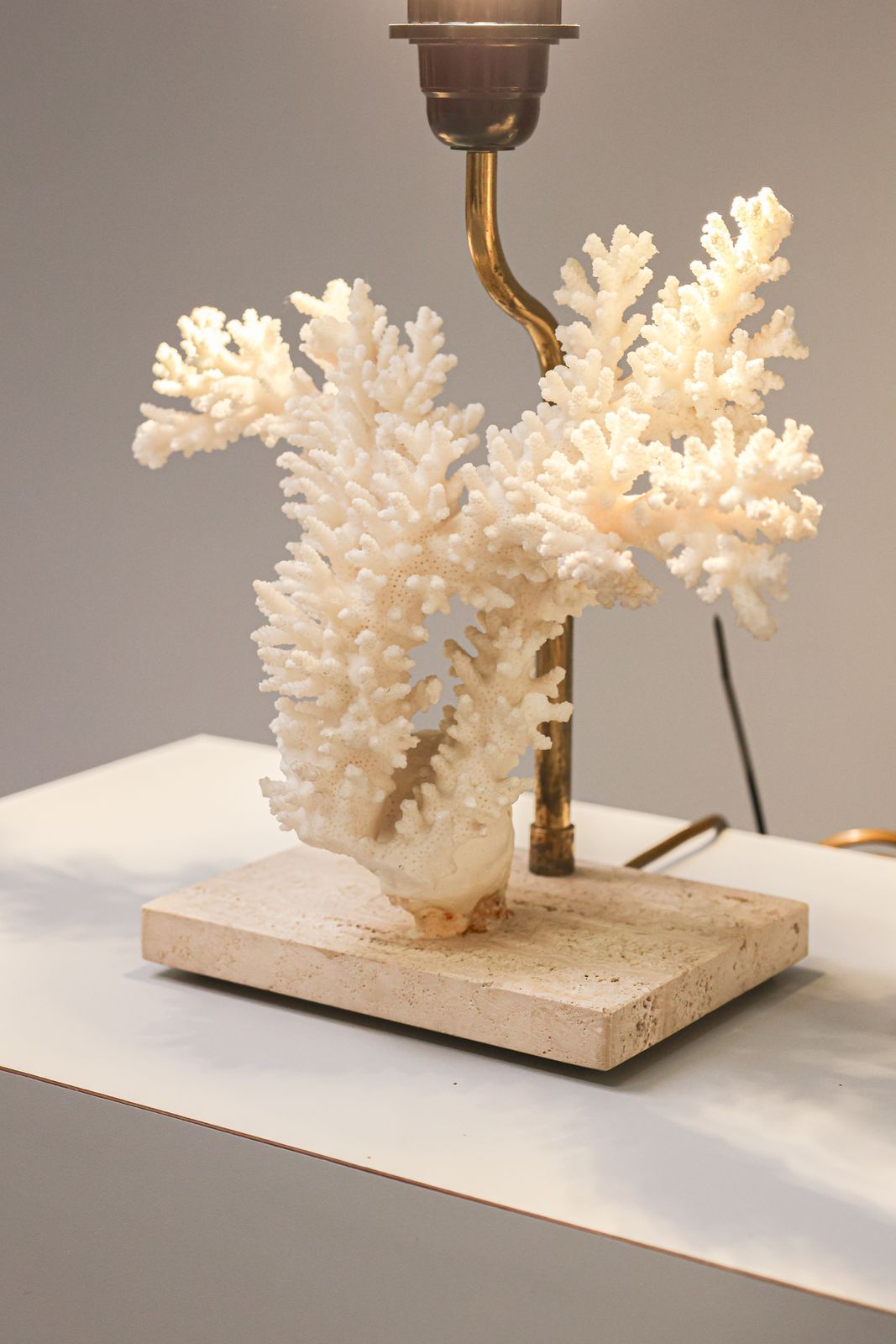 Acropora Florida (Coral) Tafellamp, Jaren 1970. photo Verlichting