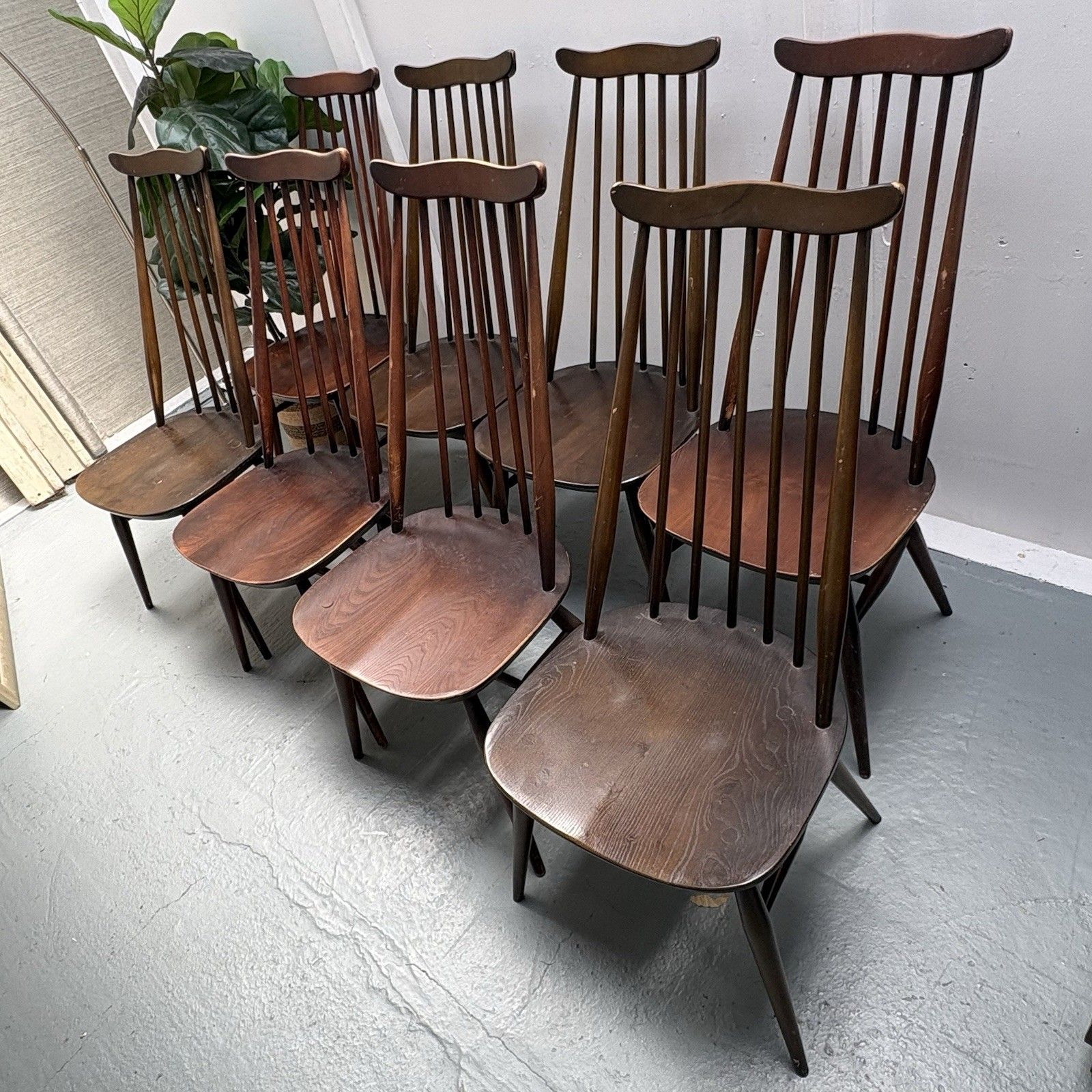 Furniture 8 Vintage Blue Label Ercol Model 369 Windsor Goldsmith Dark Finish Dining Chairs photo