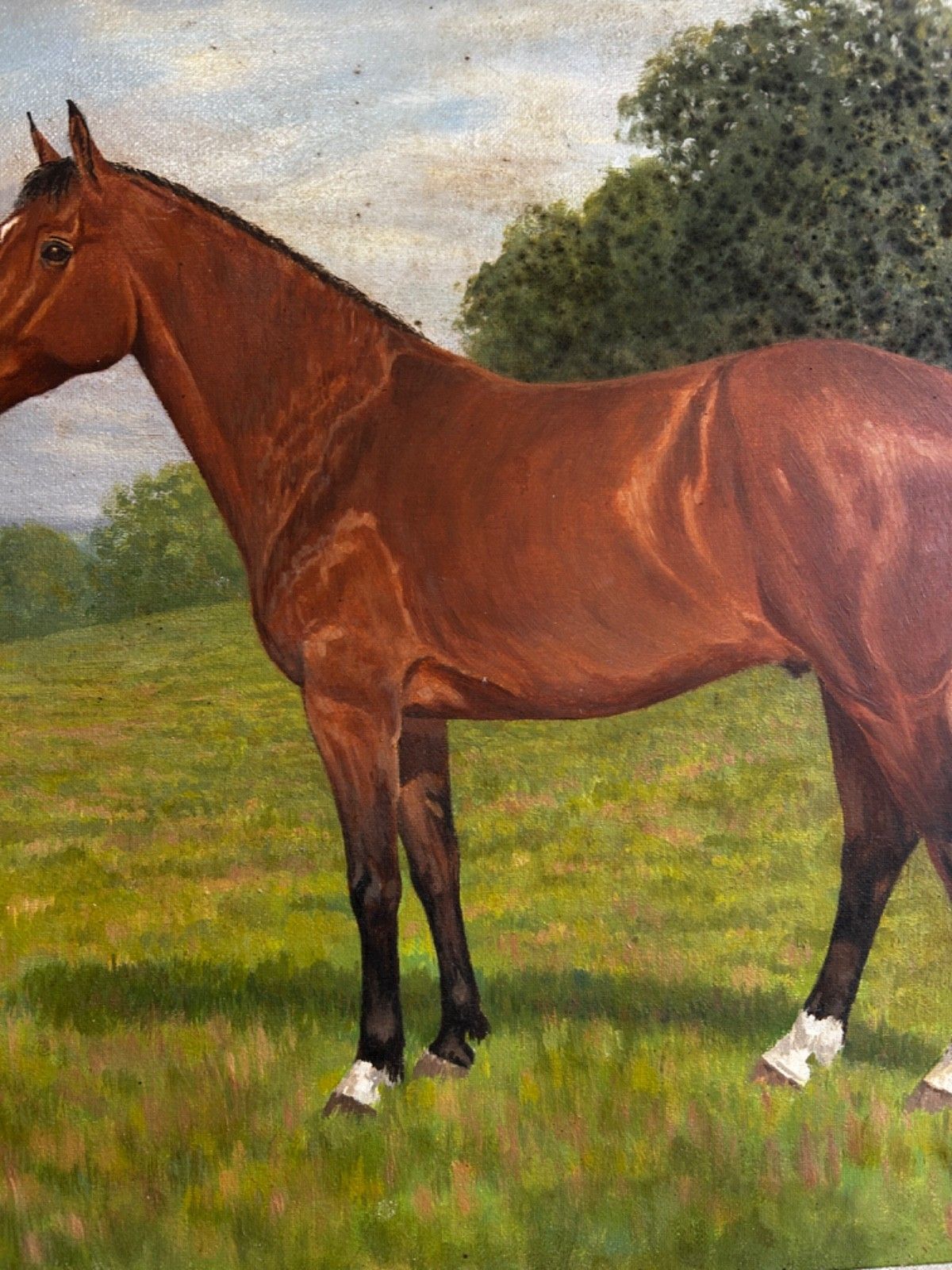 Oil On Canvas  Horse  Mid Century Signed Framed 1960/70's Portrait Landscape photo vinterior