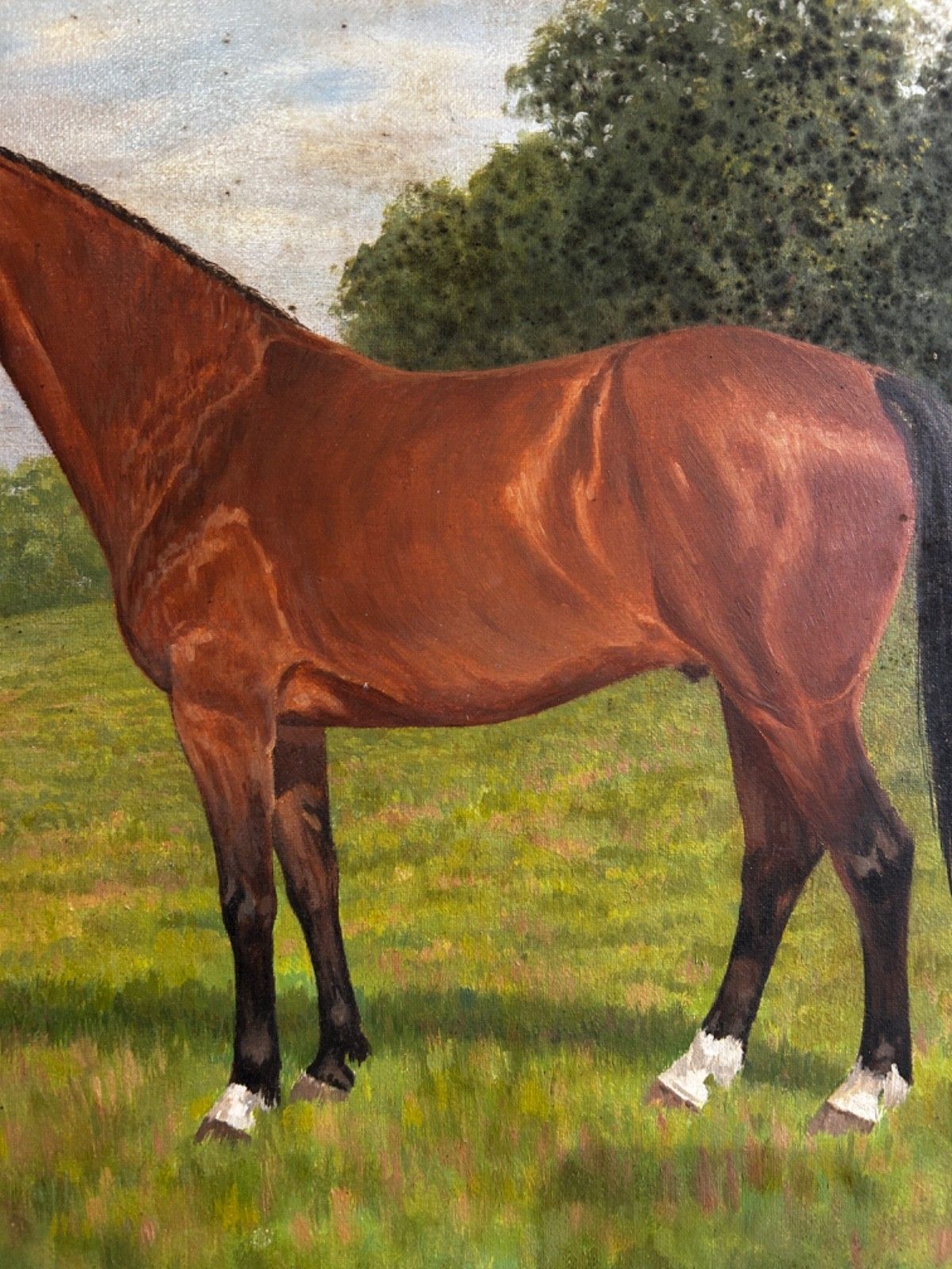 Art Oil On Canvas  Horse  Mid Century Signed Framed 1960/70's Portrait Landscape photo