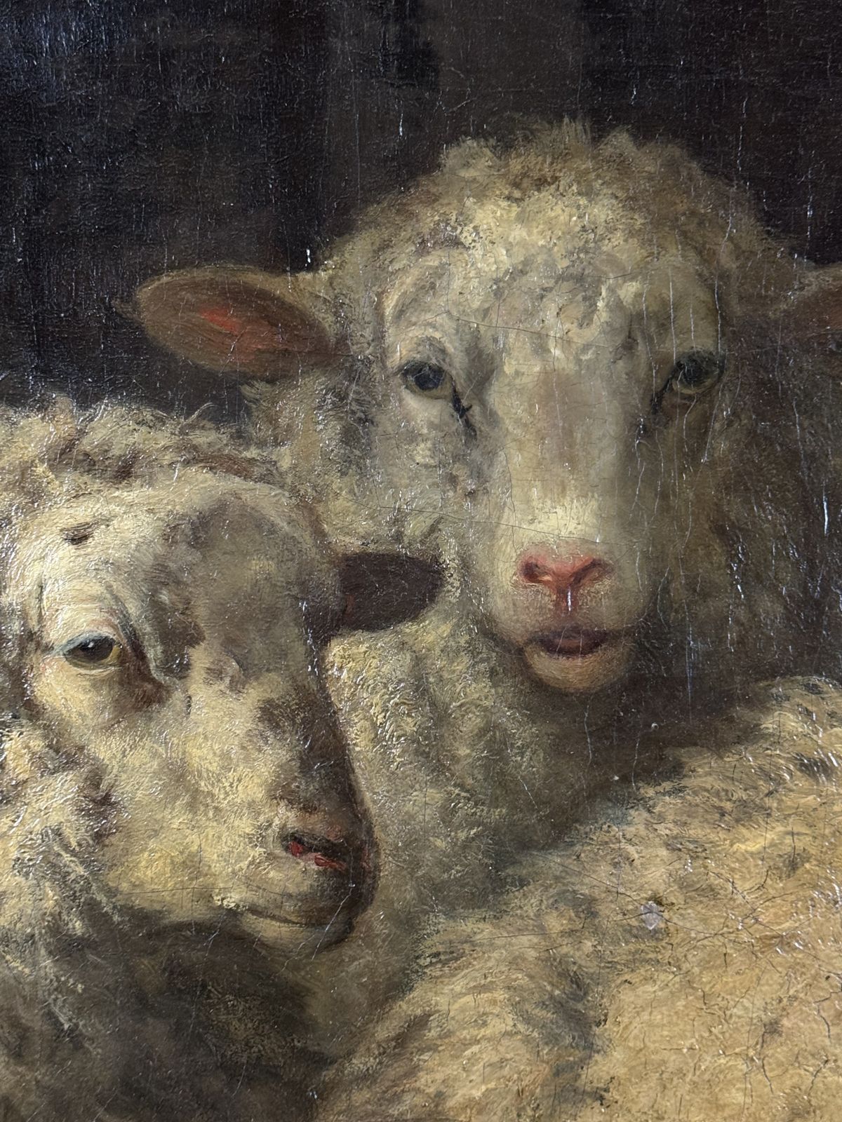 Painting Of Sheep In The Stable By D. Van Lokhorst, 19th Century photo vintage