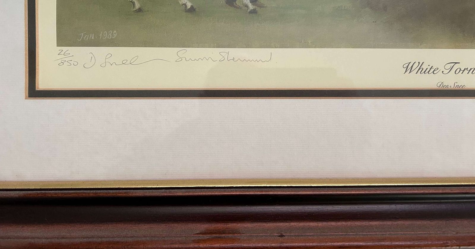 Desmond Snee   Desert Orchid Ltd Edition Signed No 26/850 photo for sale