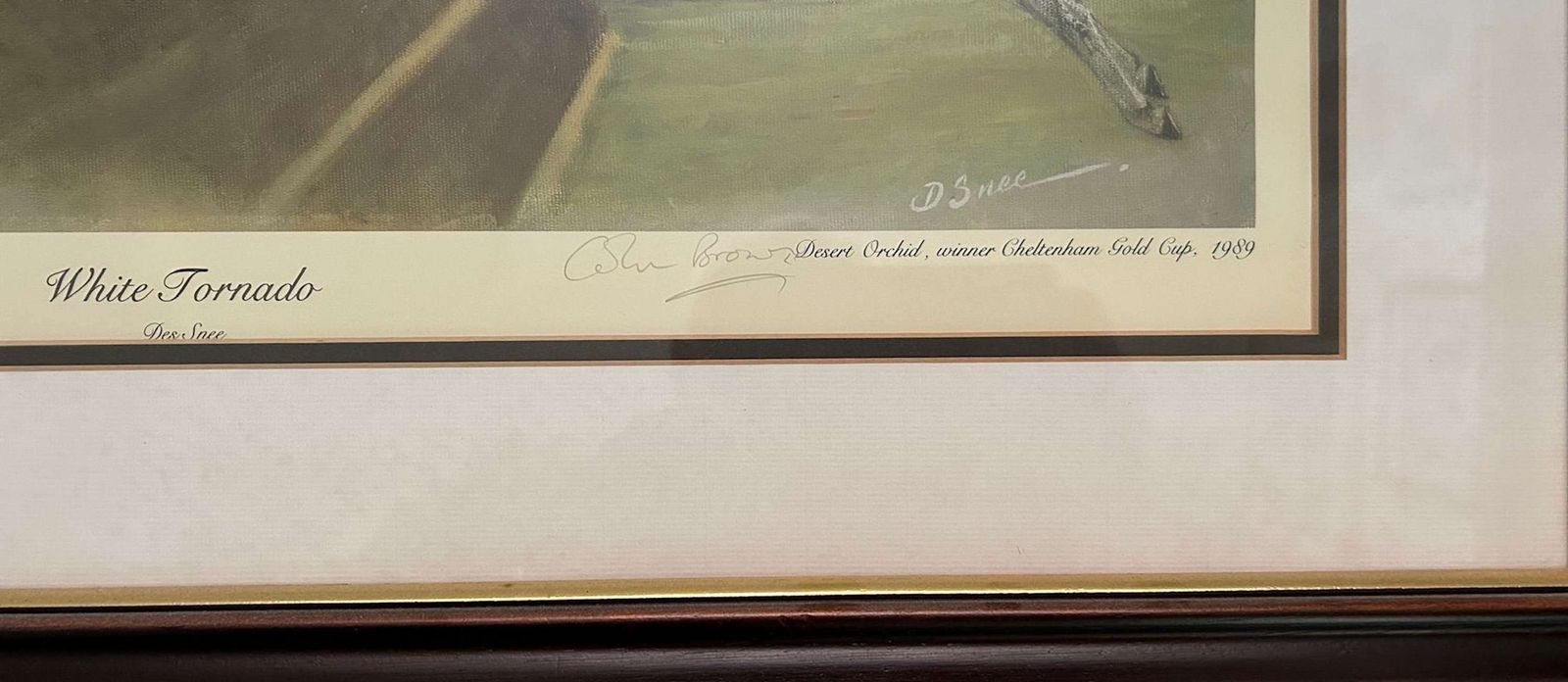 Desmond Snee   Desert Orchid Ltd Edition Signed No 26/850 photo Art
