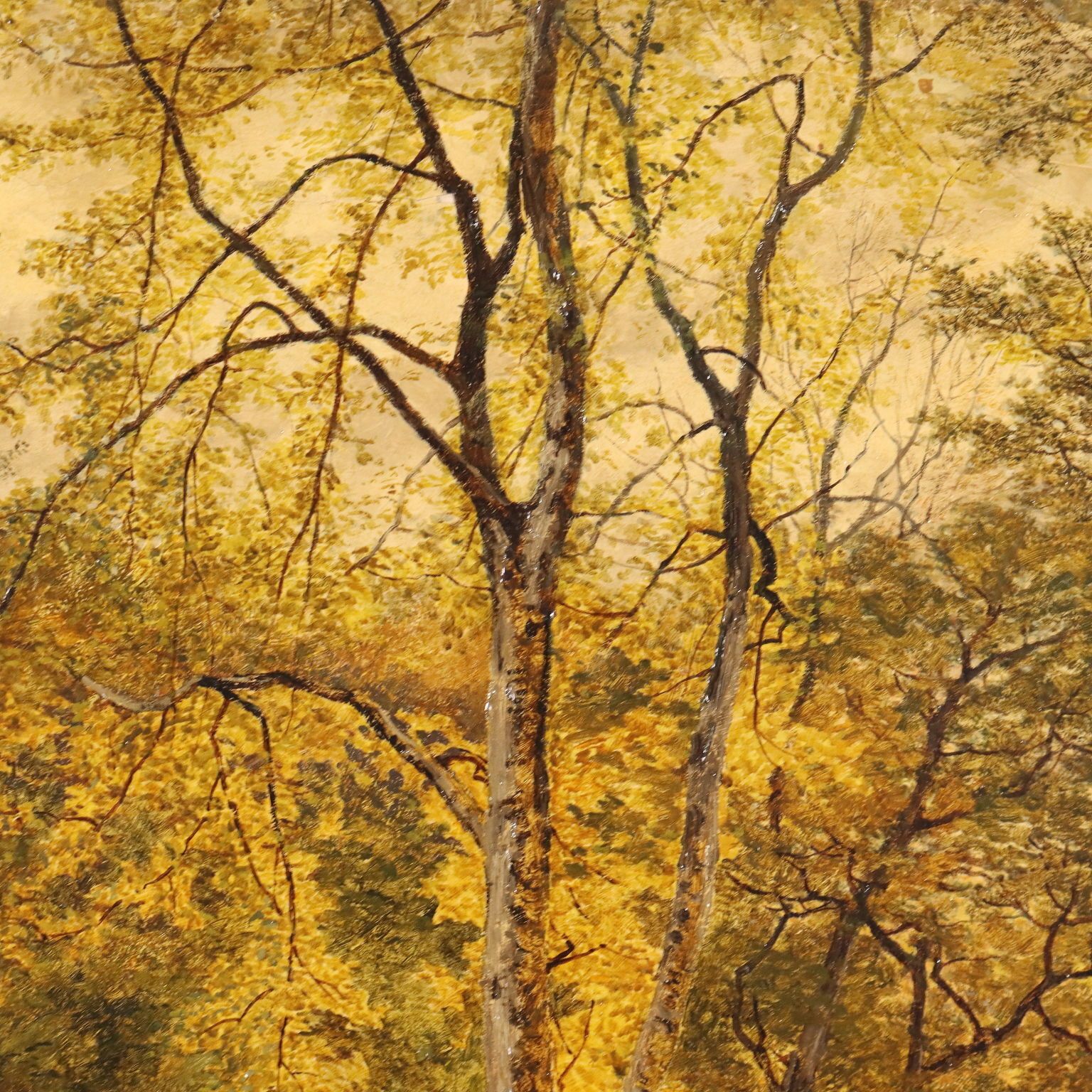 Tableau d'époque, paysage forestier, huile sur toile, XIXe siècle photo buy