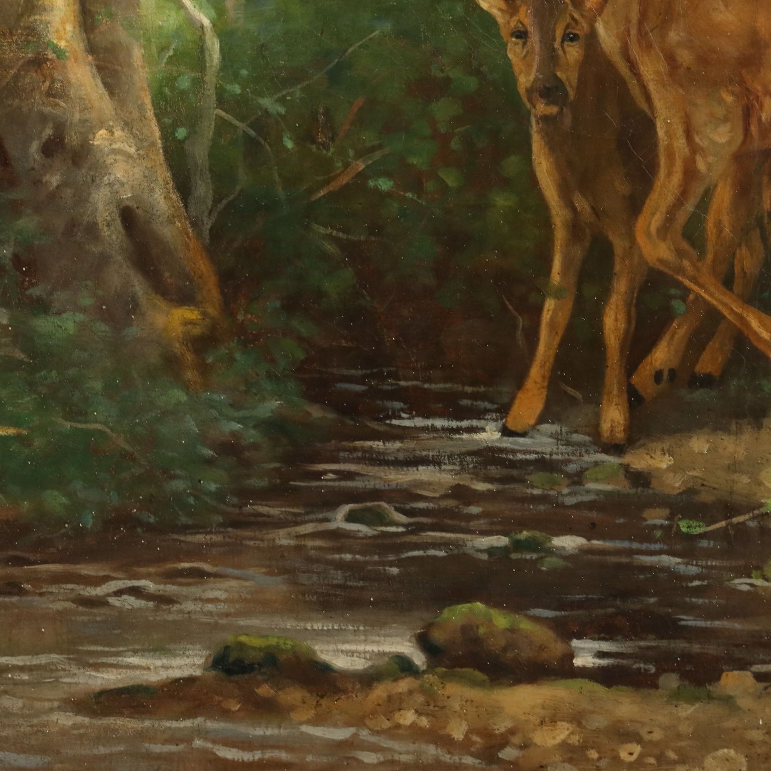 Tableau d'époque, cerf dans les bois, huile sur toile, France, XIXe siècle photo vintage