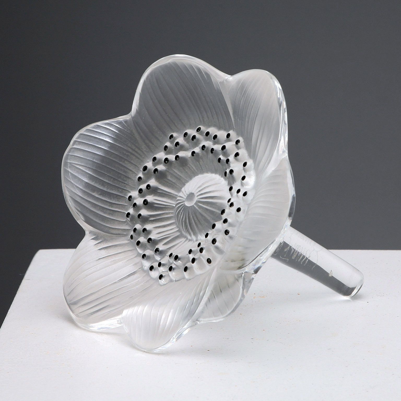 Lalique Glass Anemone Antique France XX Century