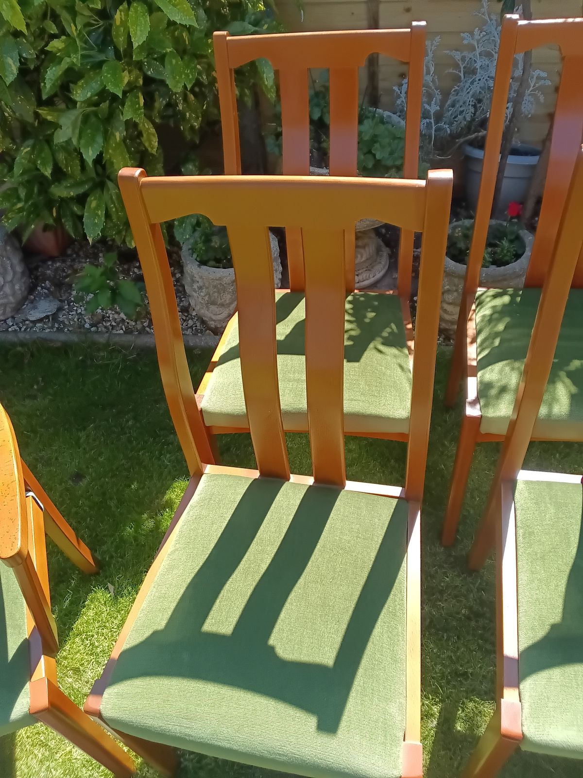 Reduced !! As New.. Set Of 6 Meredew Teak Vintage Dining Chairs. photo 195.0