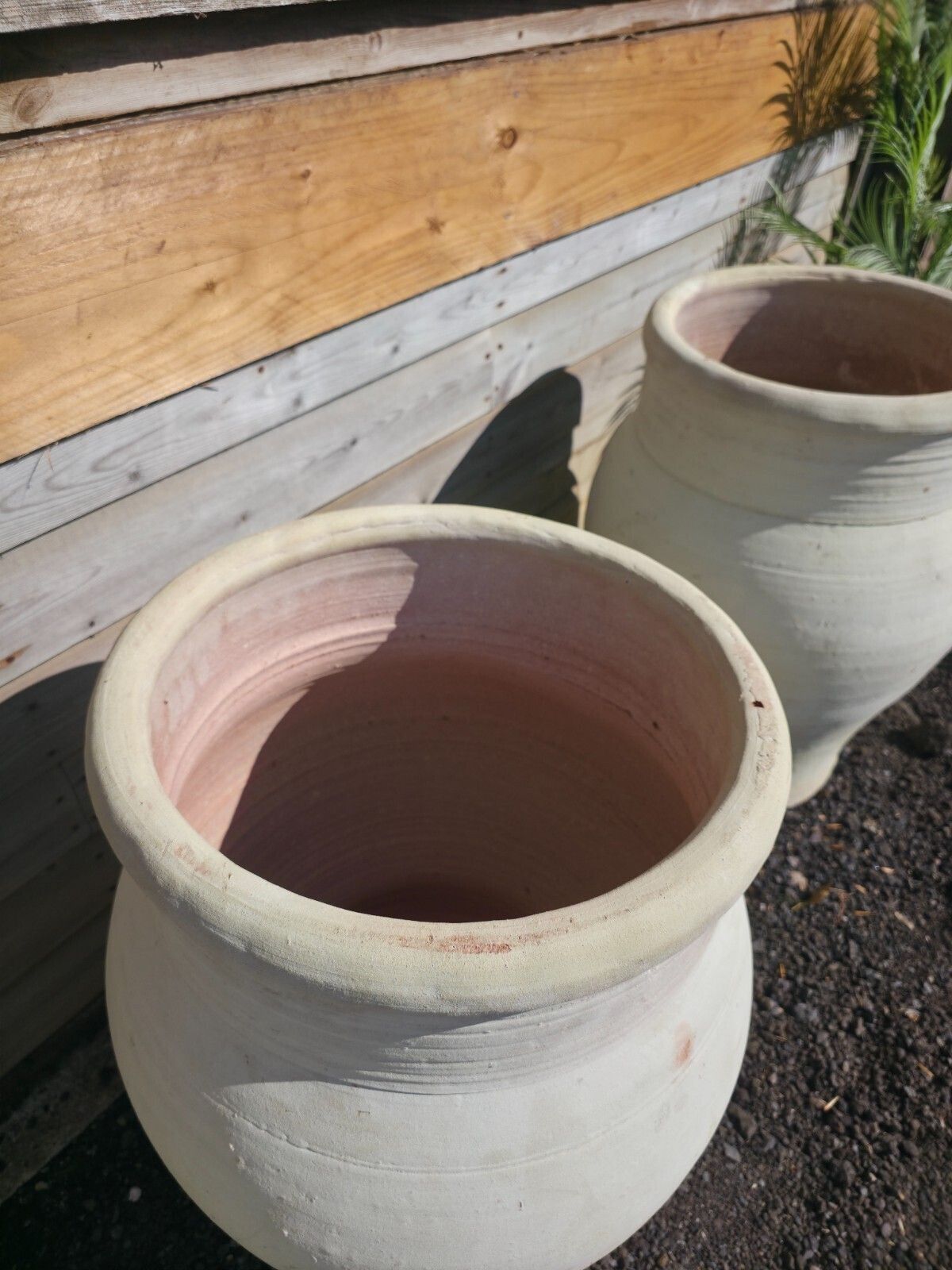 Large Rustic Mediterranean Terracotta Olive Tree Garden Plant Pot Planter Urn photo buy