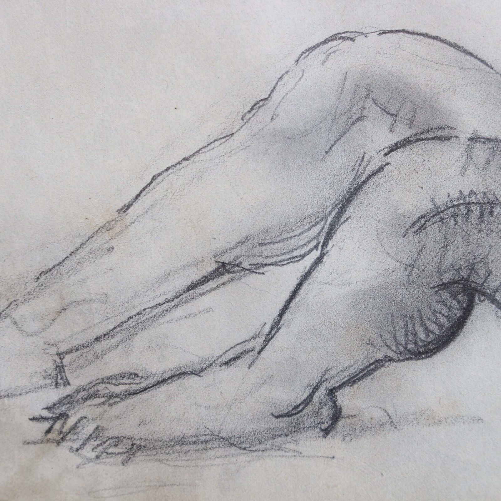 photo for sale 'Study Of Male Nude' By Guillaume Dulac (Circa 1920s)