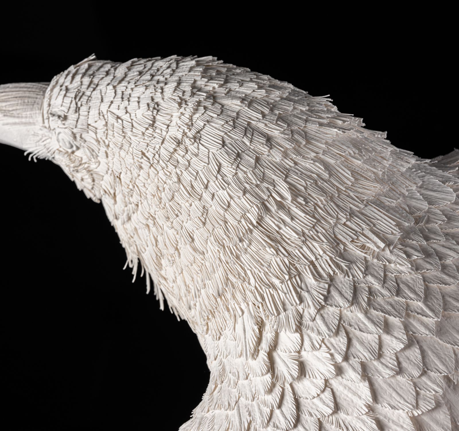 2750.0 Unique Vintage Velum Paper Feather 'Raven' Sculpture In Bespoke Display Case. photo