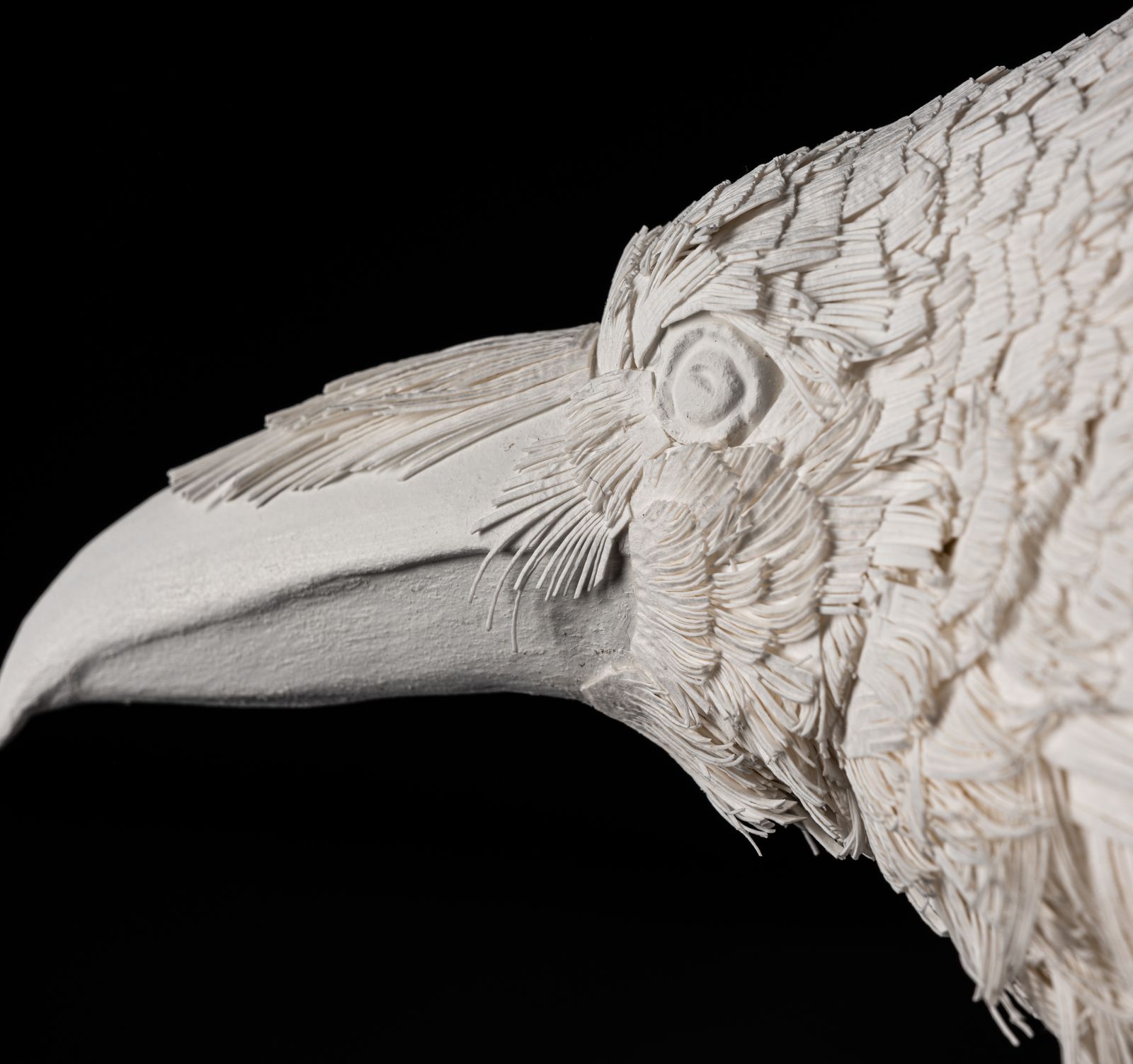 photo vinterior Unique Vintage Velum Paper Feather 'Raven' Sculpture In Bespoke Display Case.