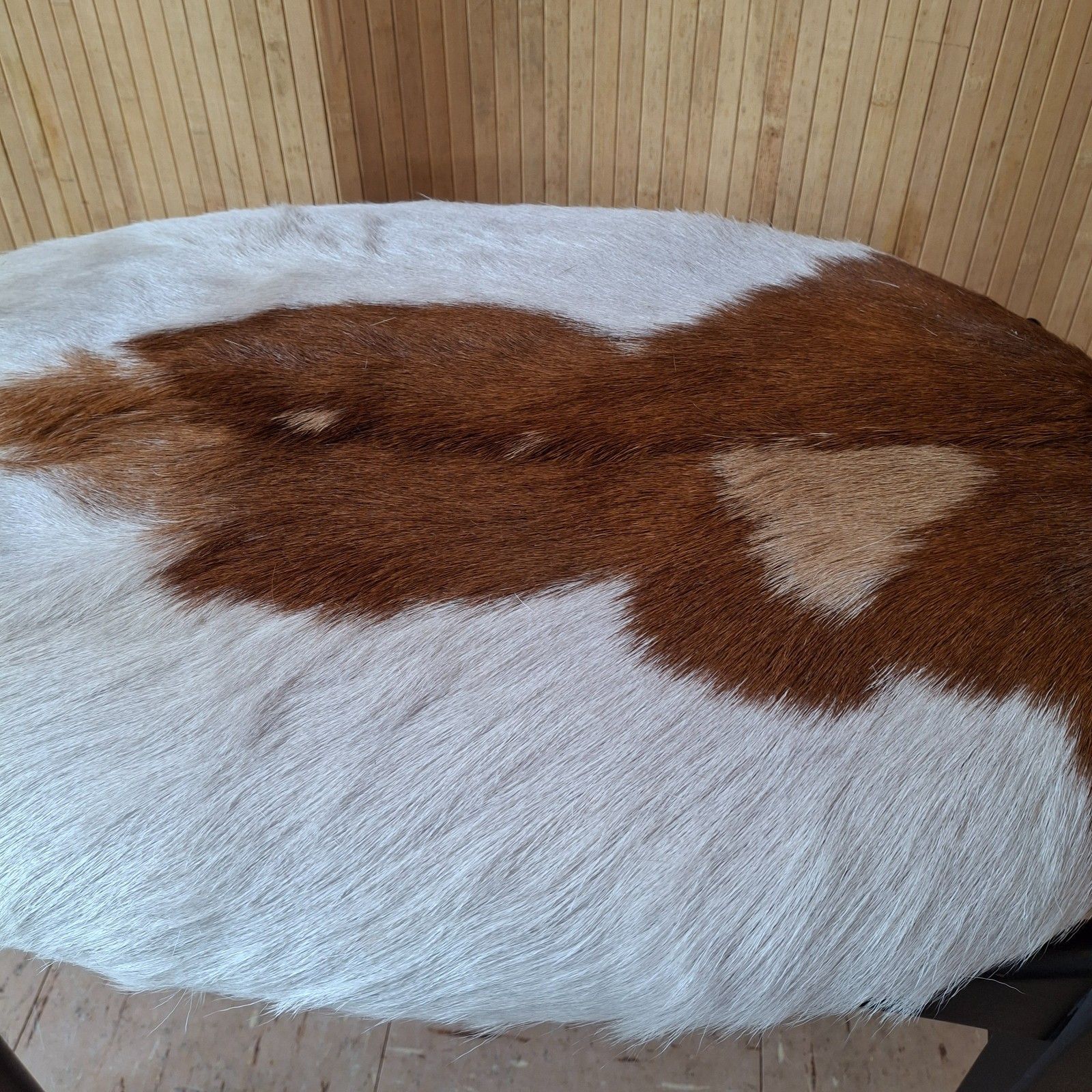 Fab Vintage Mid Century Elliotts Of Newbury Teak Dressing Table Stool Goatskin photo vinterior