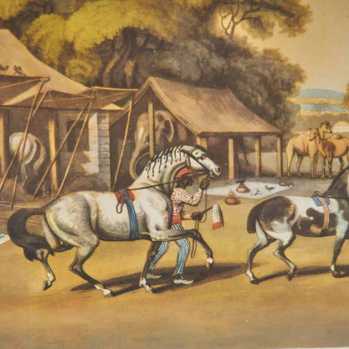 Antique Print Of Horses In Motion photo Art