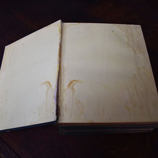 Home Decor Antique 1896 National Burns By George Gilfillan Embossed Cover Set Of 4 Books photo