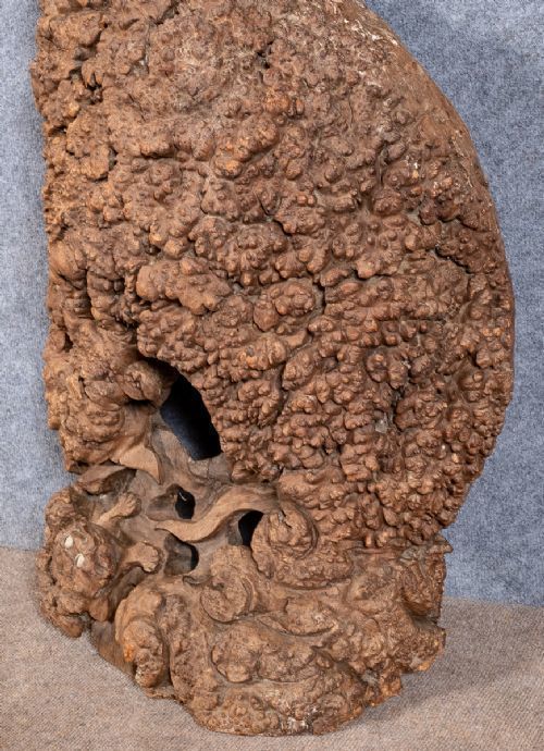 Large Chinese Carving Of Lion Dog Or Foo Dog photo vinterior