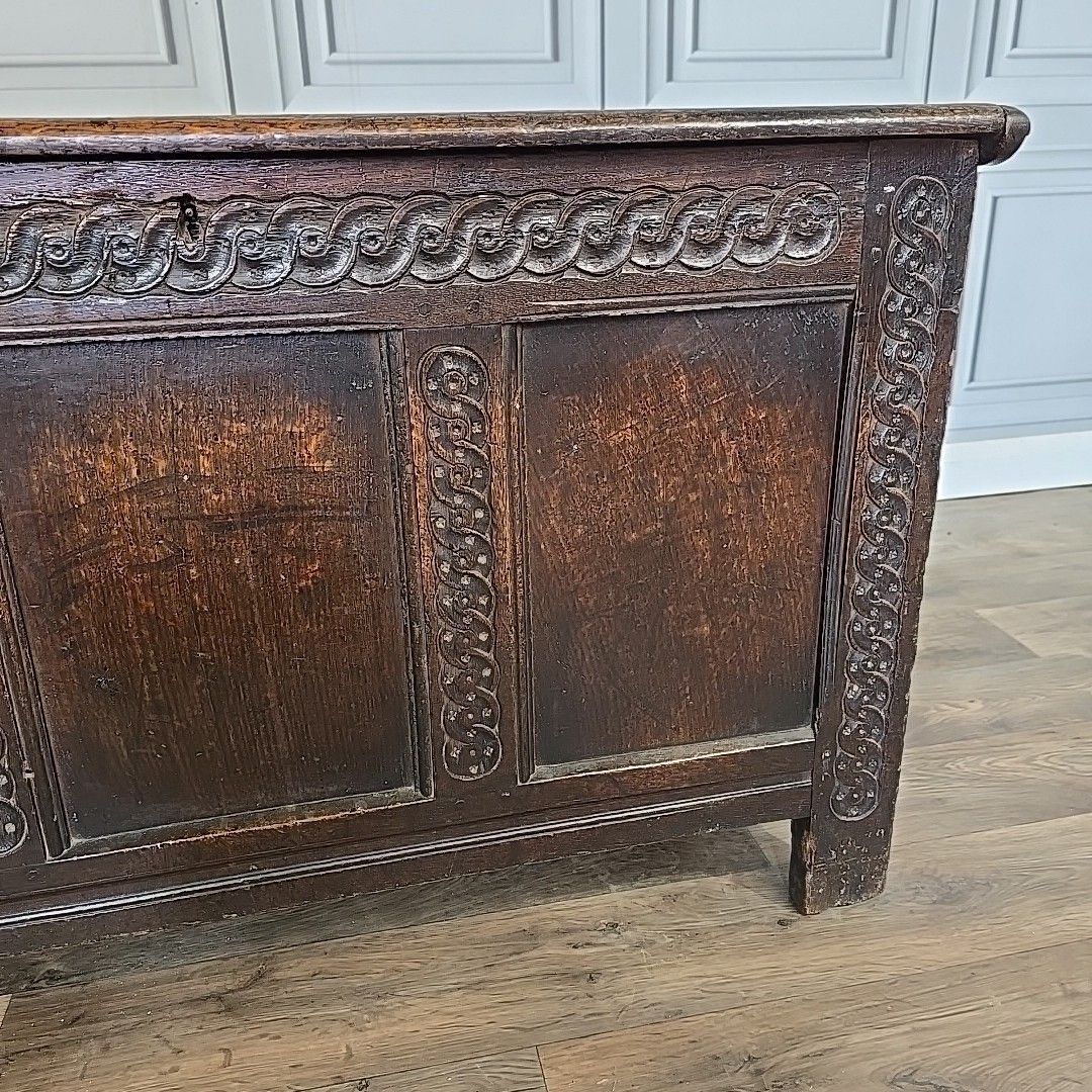 Home Decor Antique Coffer Blanket Box Trunk Oak – Carved Guilloche Panels – 18th Century photo