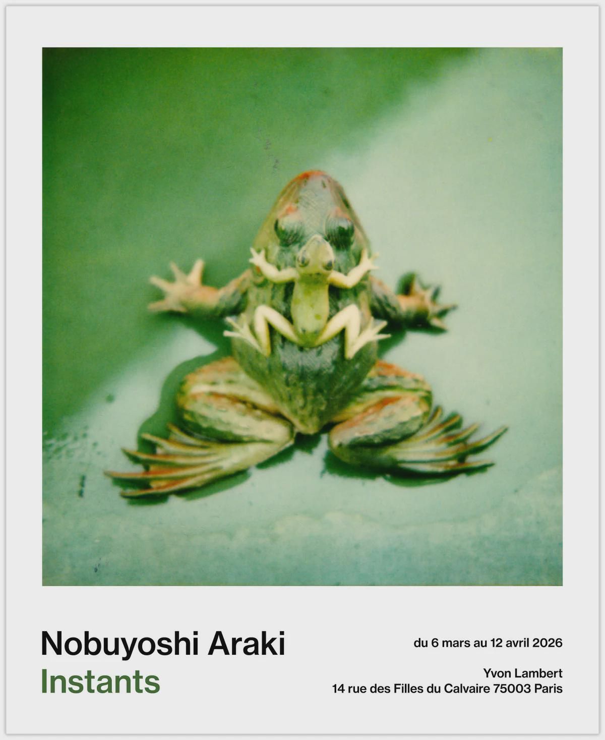 Authentic Nobuyoshi Araki Exhibition Poster   Instants   Official Museum Print photo furniture