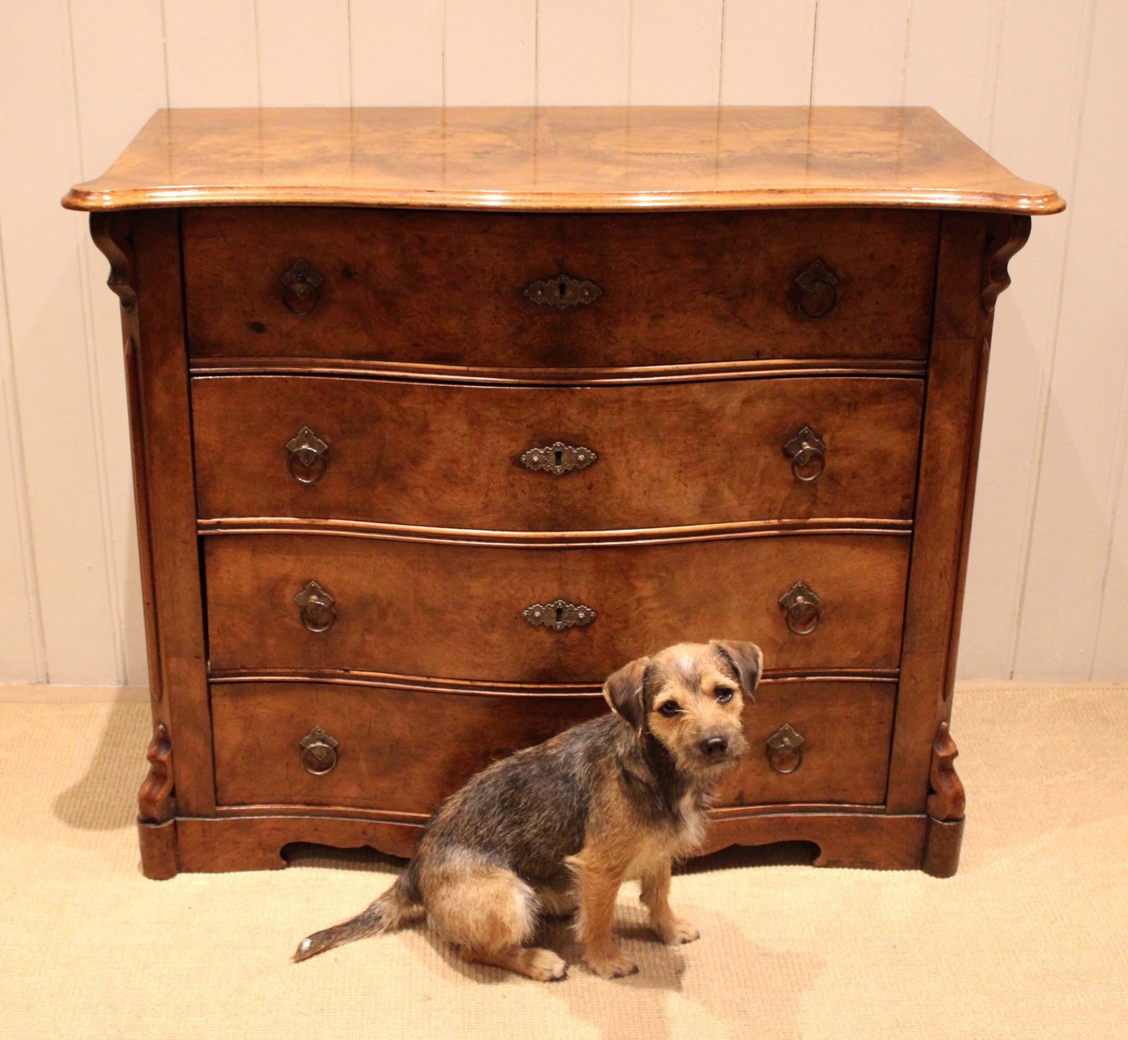 photo furniture Mid 19th Century Burr Walnut Chest Of Drawers