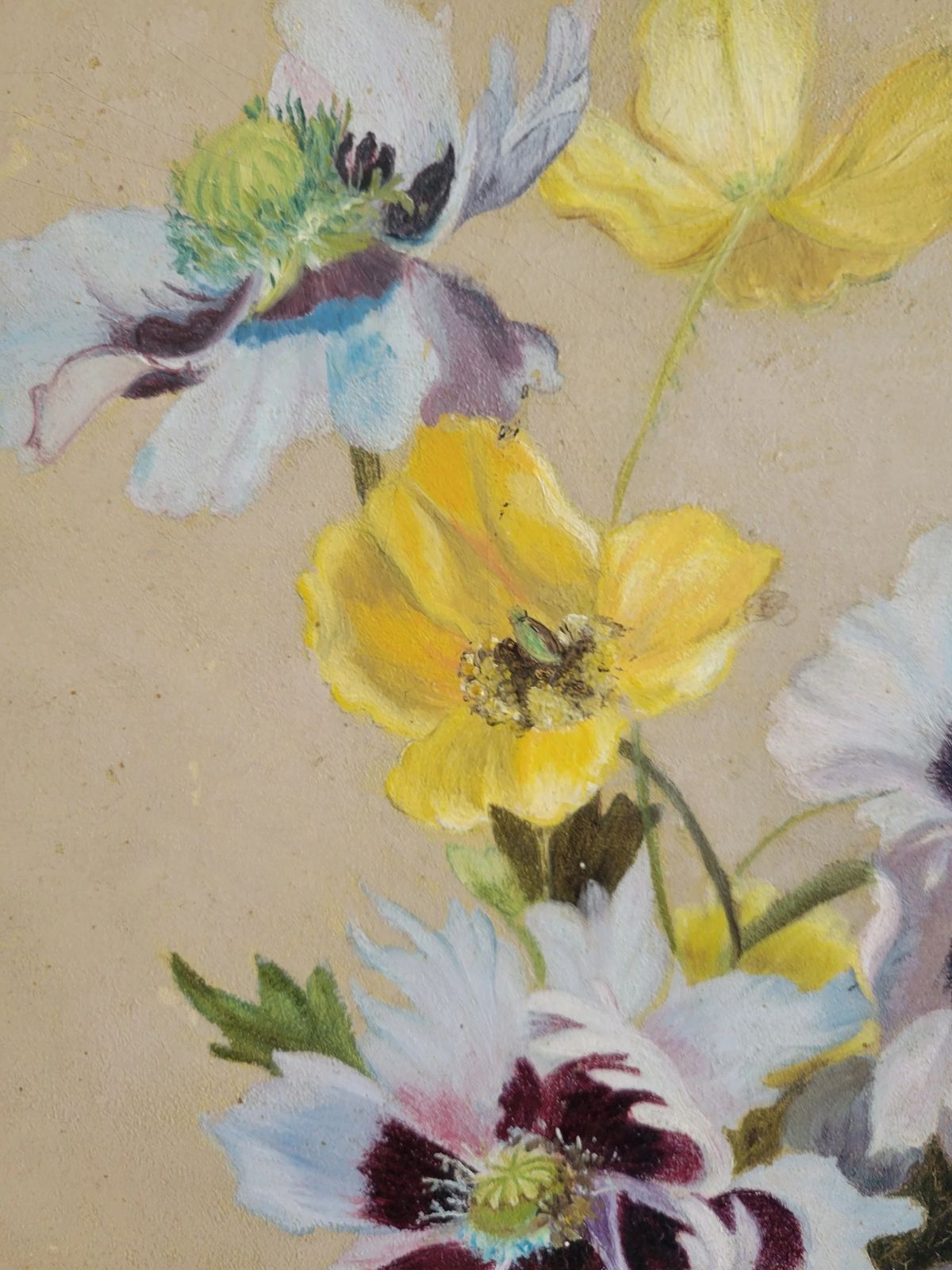 photo for sale Wild Anemones  Original French Floral Oil Painting