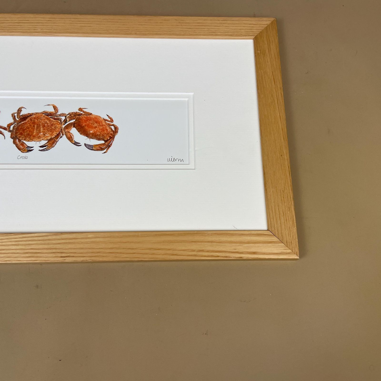 Crab Print Framed Wood Coastal Kitchen Wall Art Seafood Illustration Crustacean Picture Nautical Decor Display Animal Print photo buy