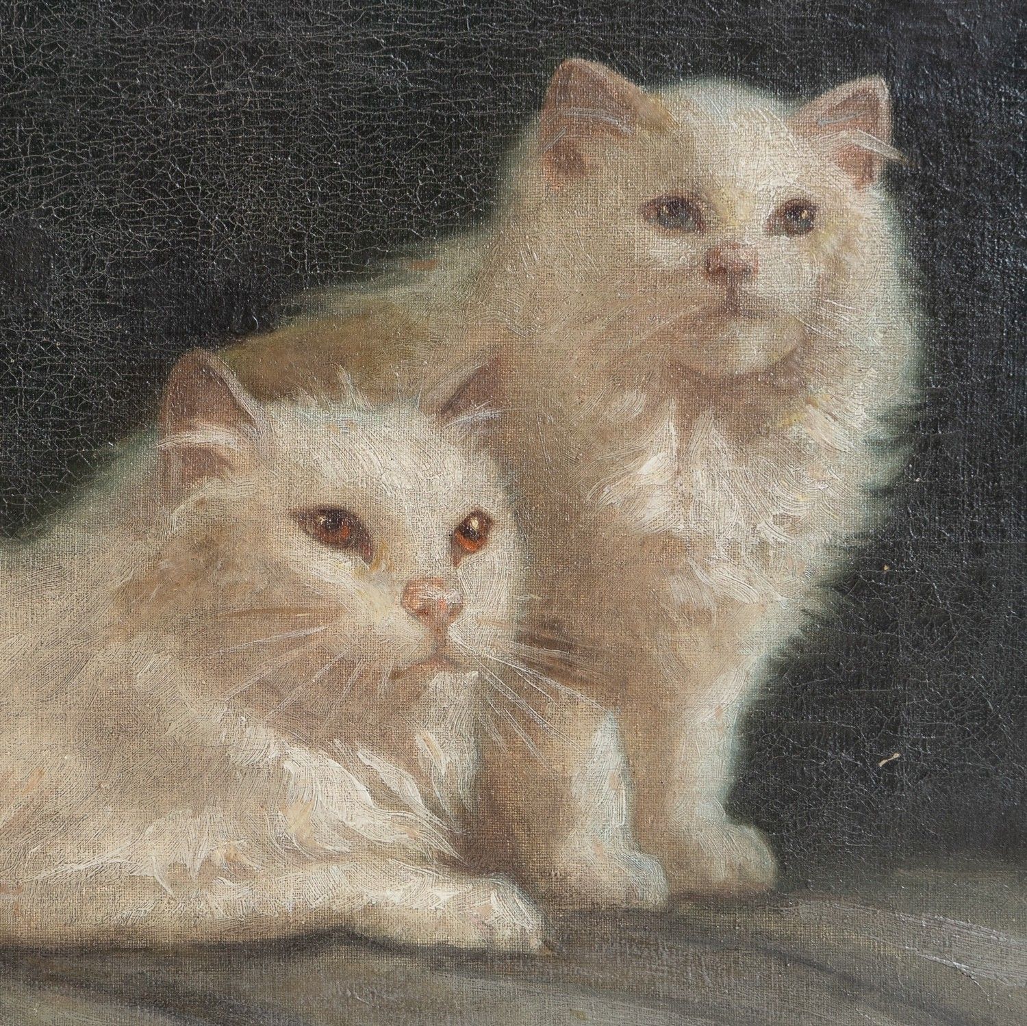 White Cat Portrait Original Antique Oil Painting, Attributed To Arthur Heyer photo for sale